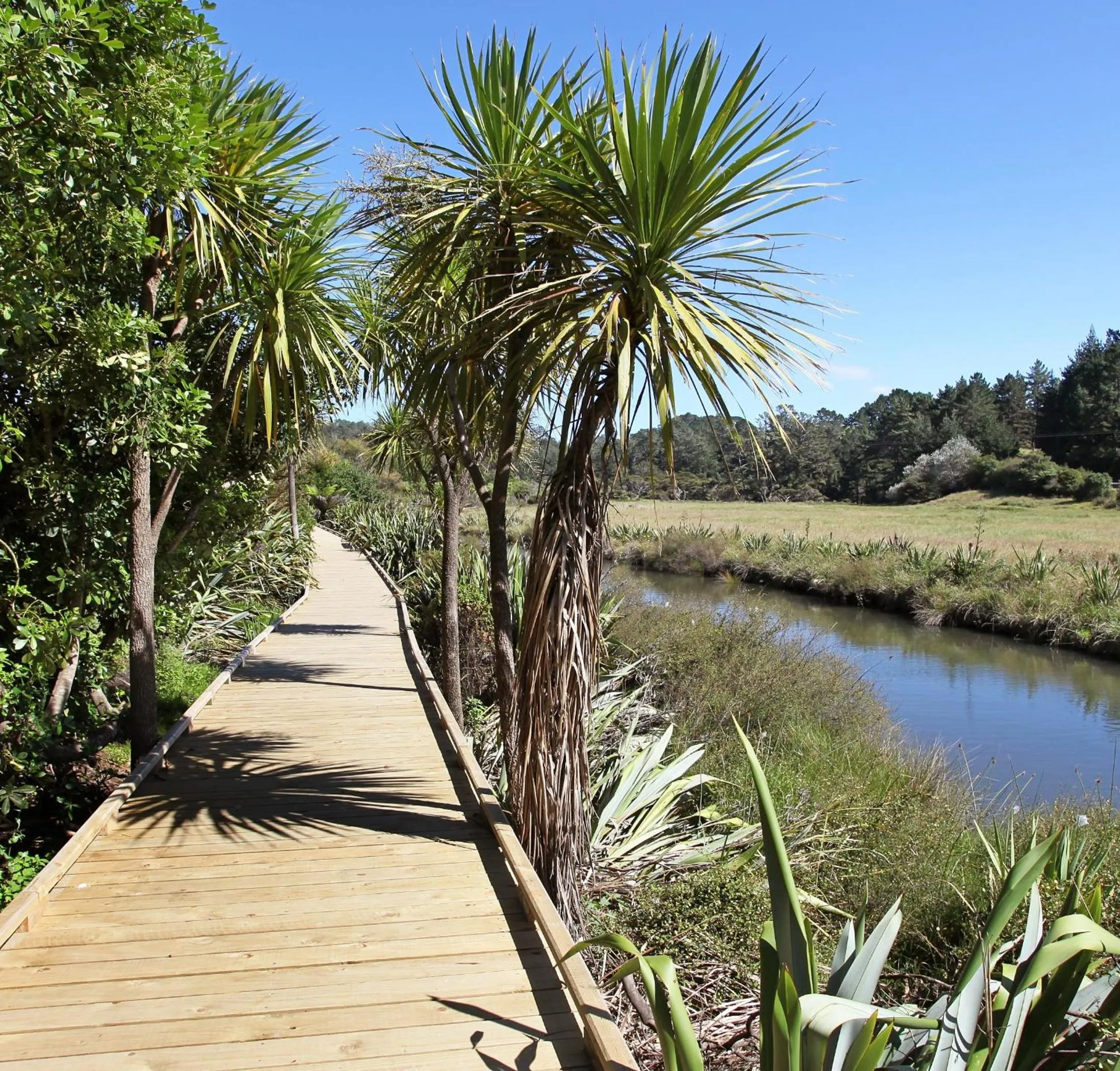 Off site in Hot Water Beach TOP 10 Holiday Park