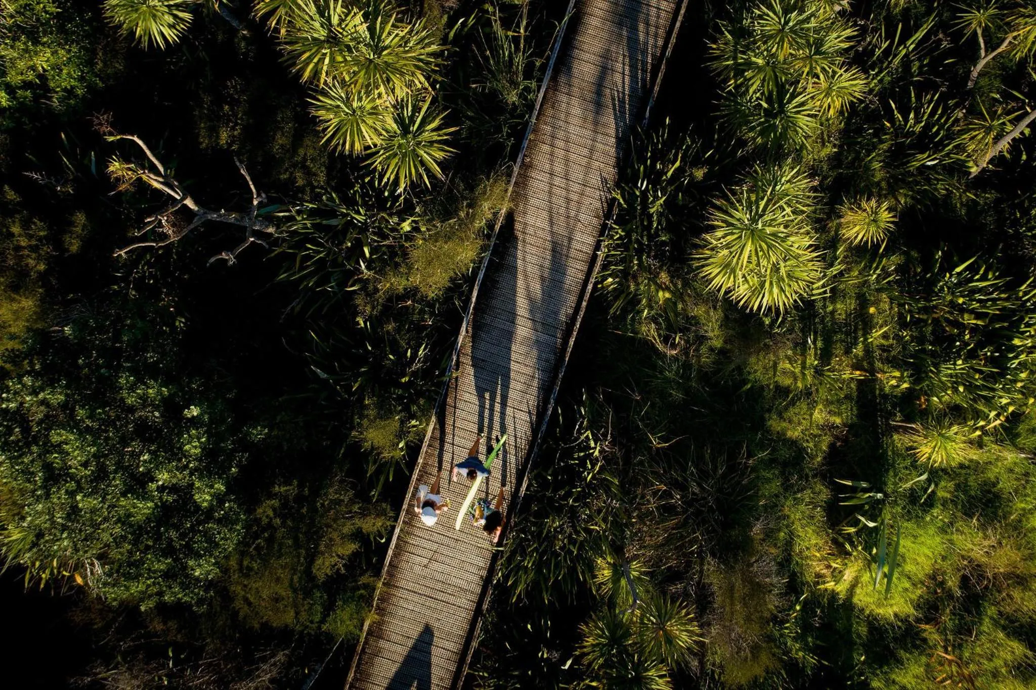 Natural landscape in Hot Water Beach TOP 10 Holiday Park
