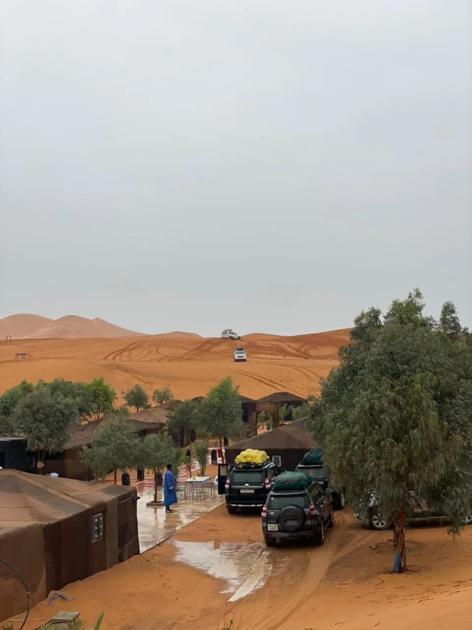 Mustapha Camp Merzouga