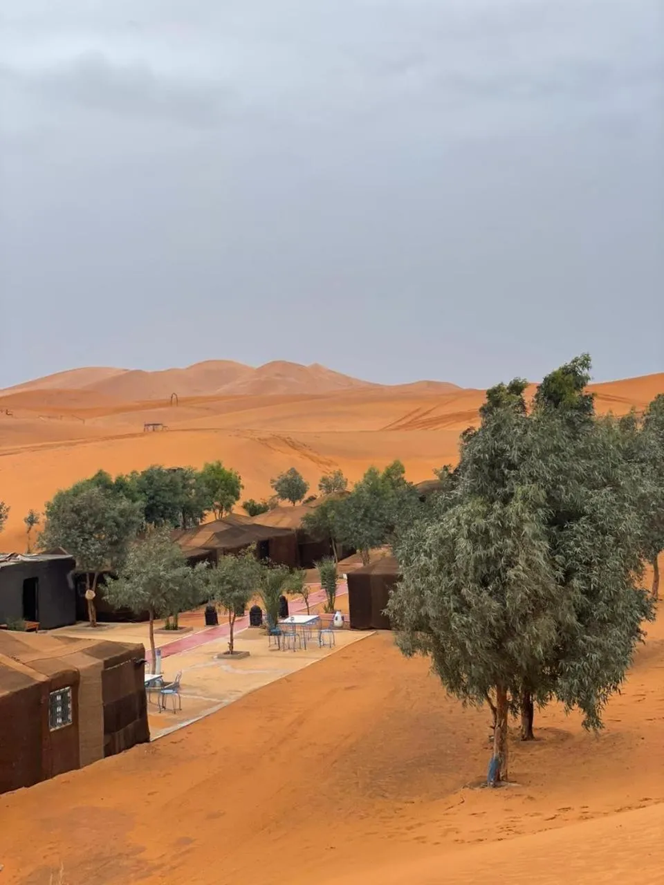 Mustapha Camp Merzouga