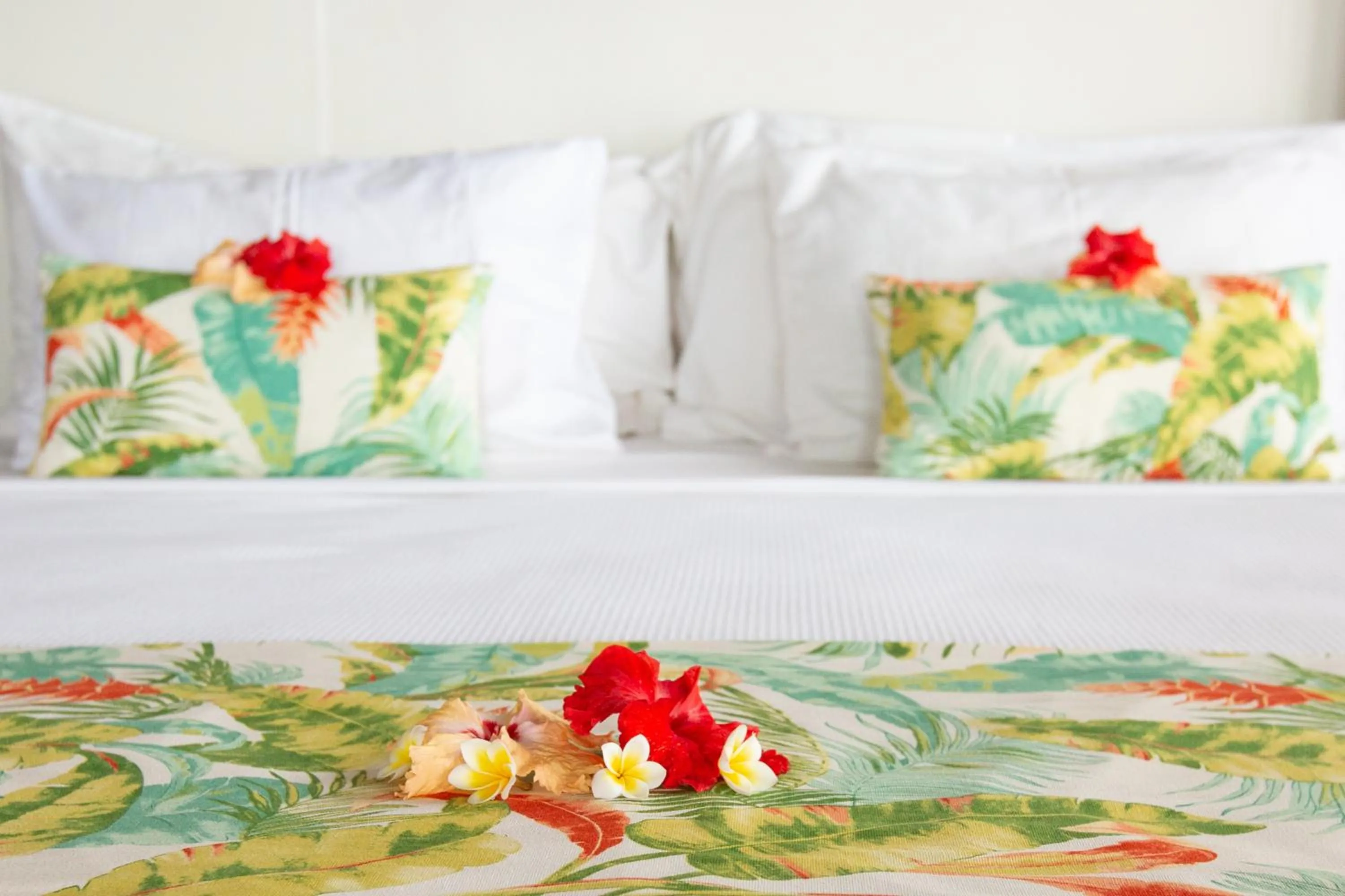 Bed in Octopus Resort