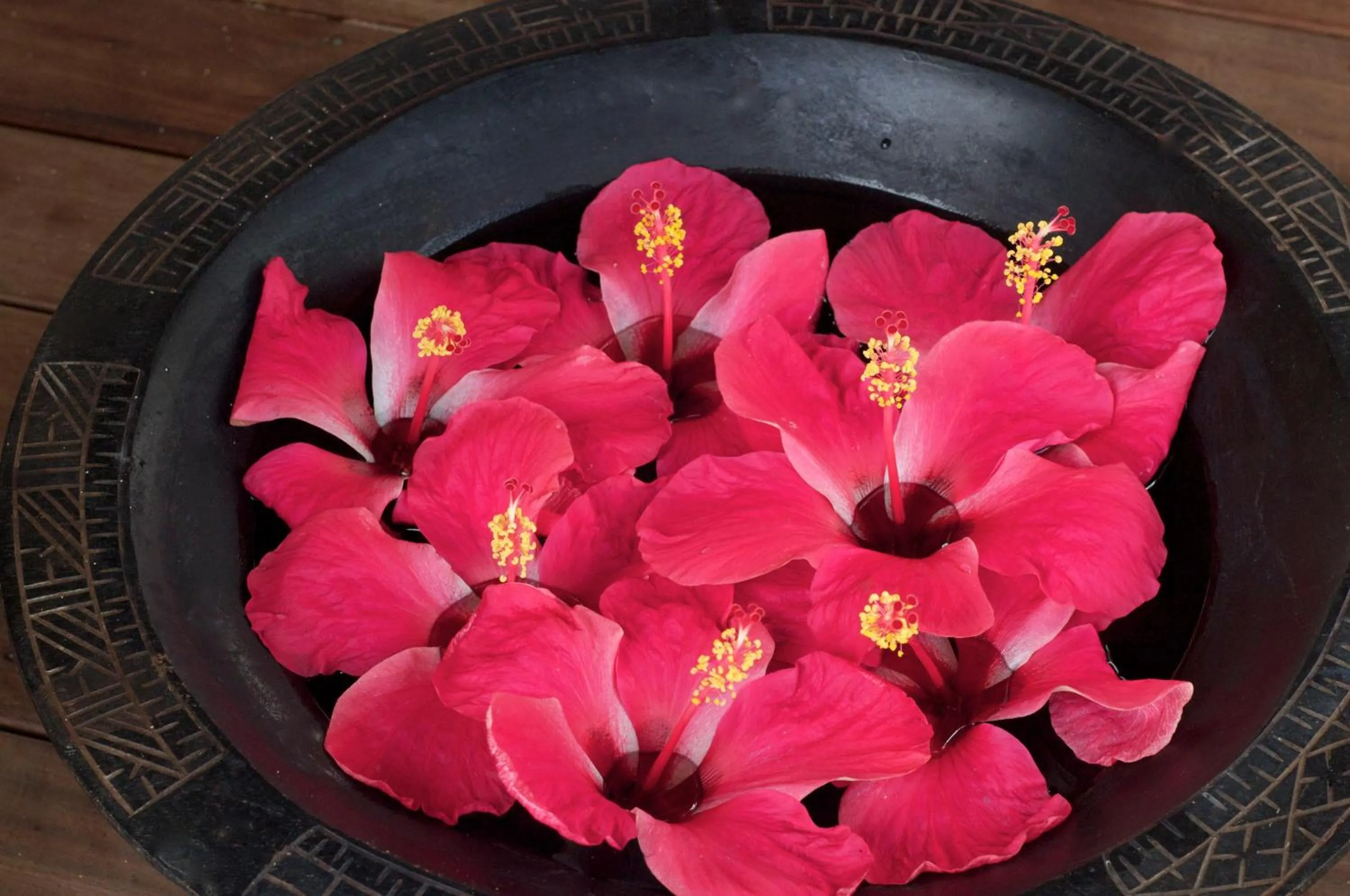 Massage in Octopus Resort