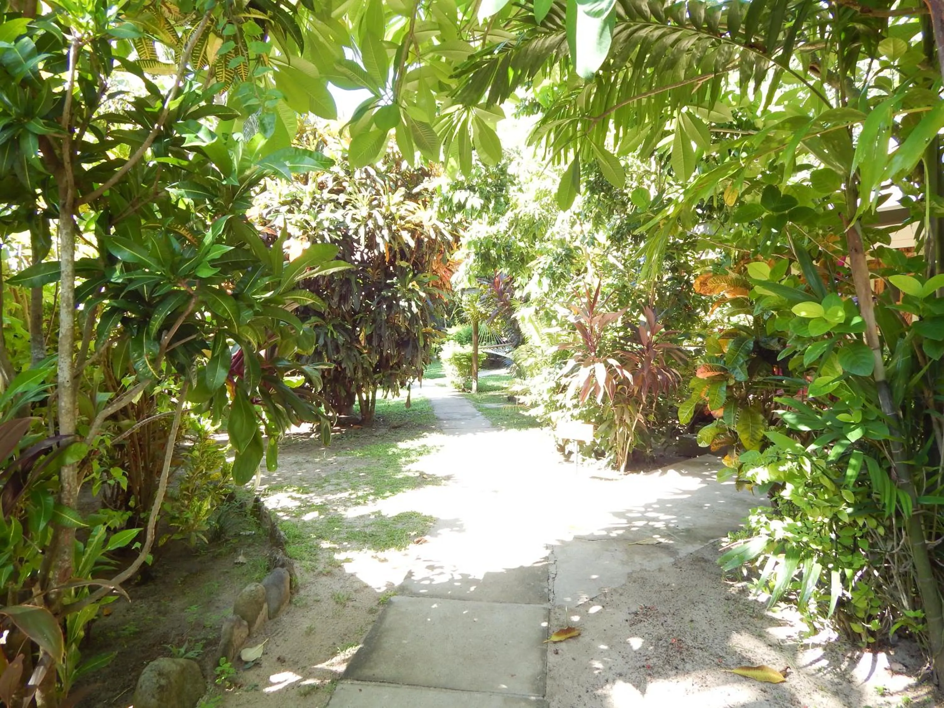 Day in Octopus Resort