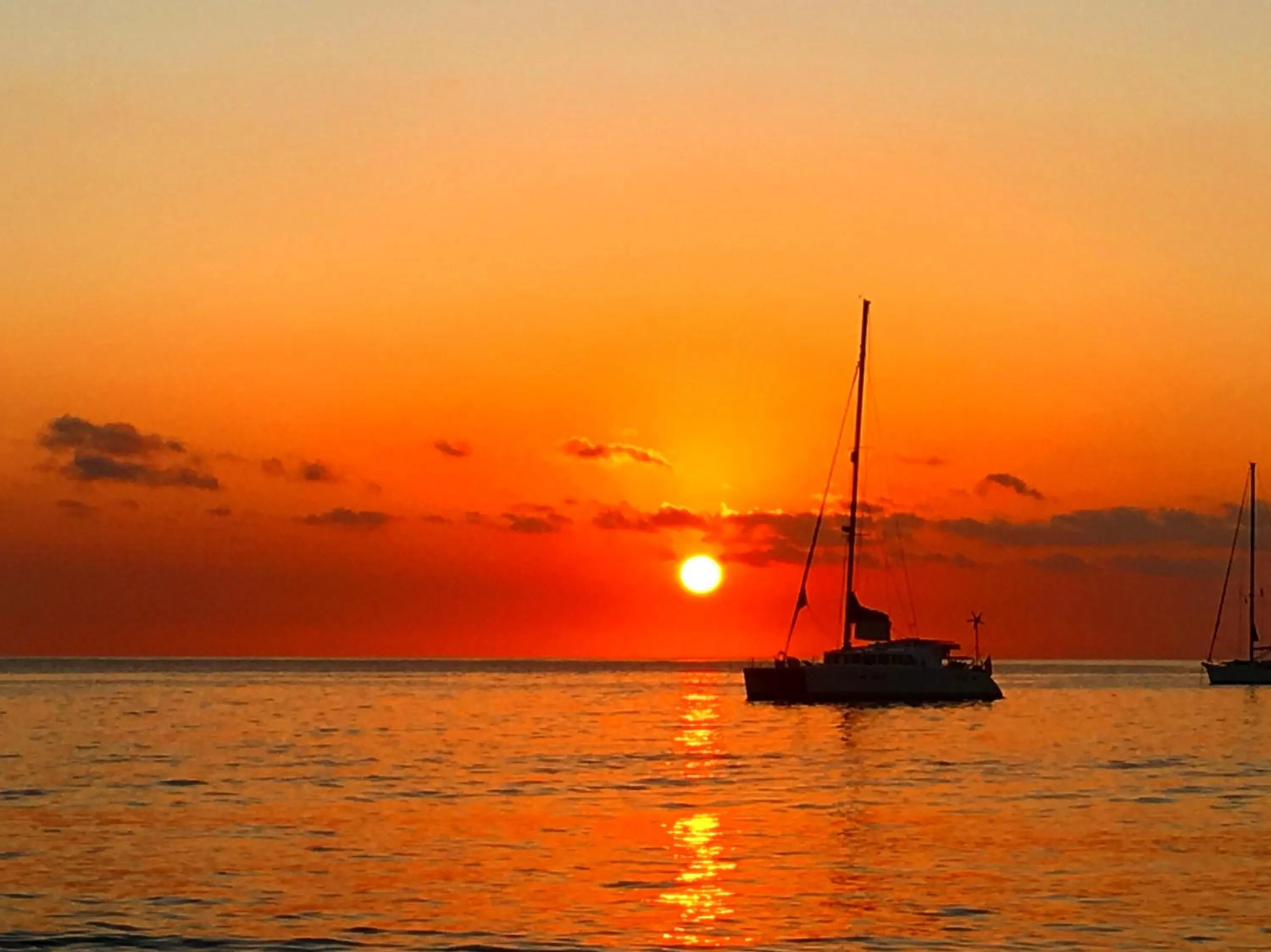 View (from property/room) in Octopus Resort