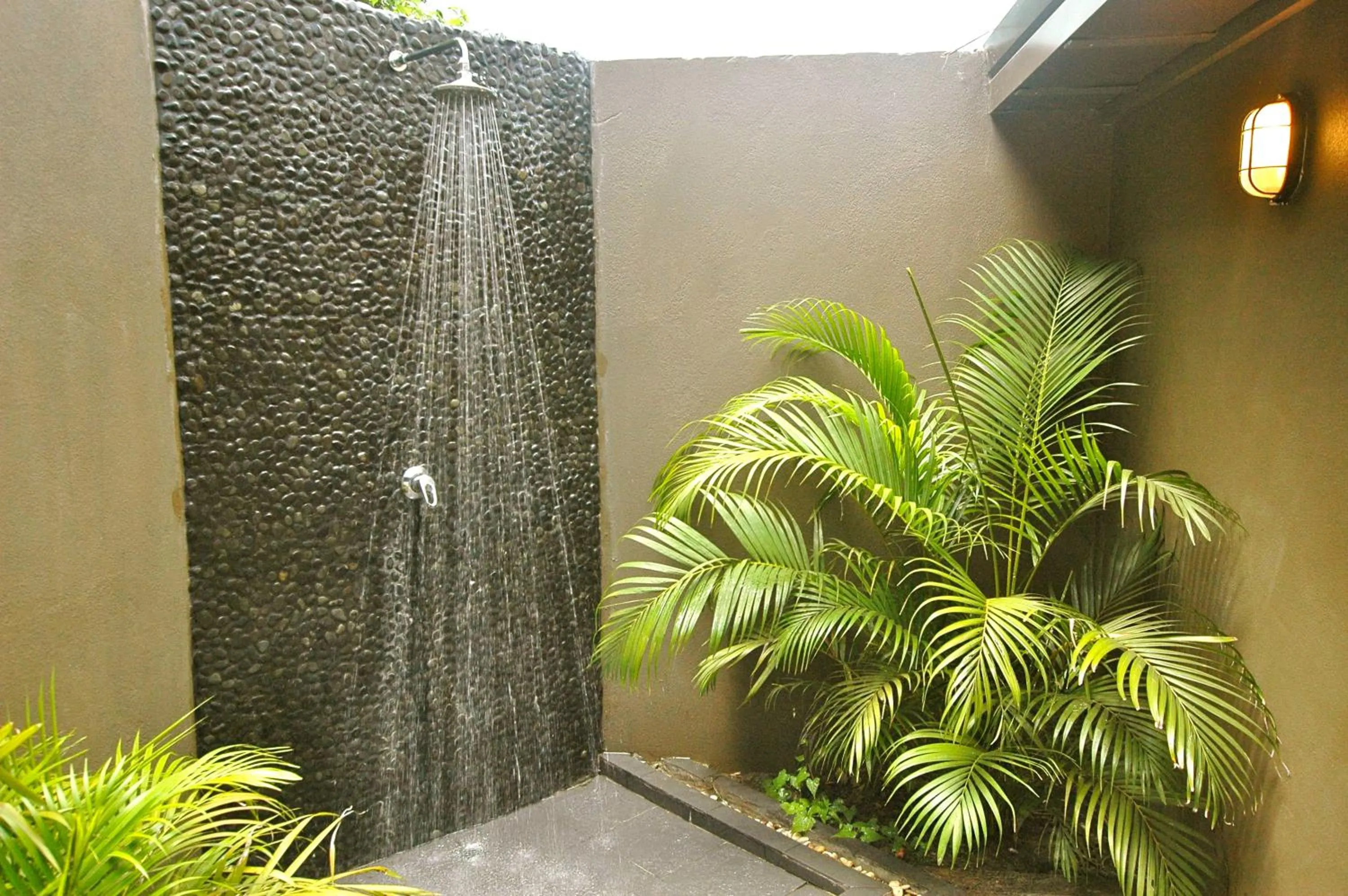 Bathroom in Octopus Resort