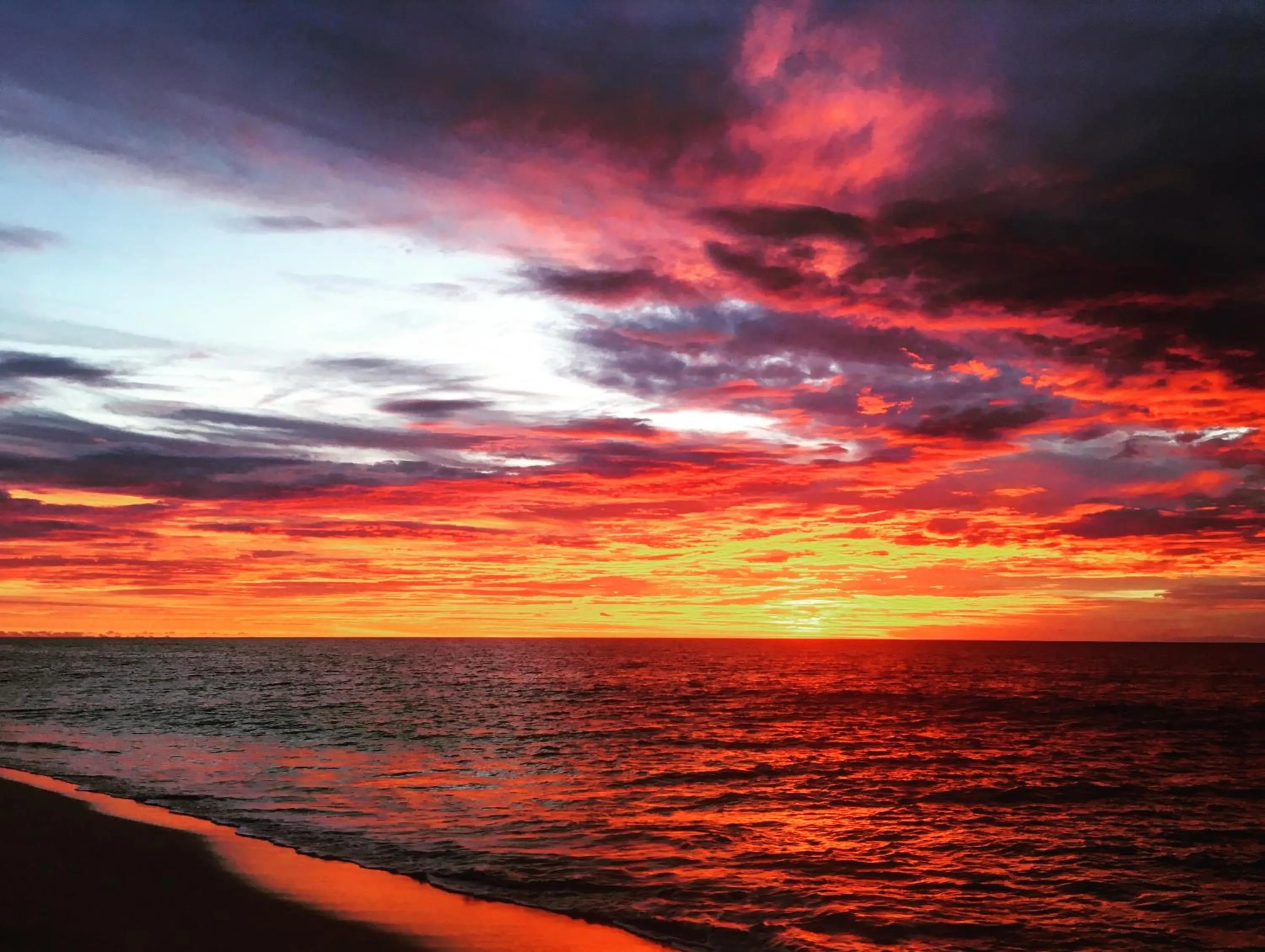 View (from property/room) in Octopus Resort