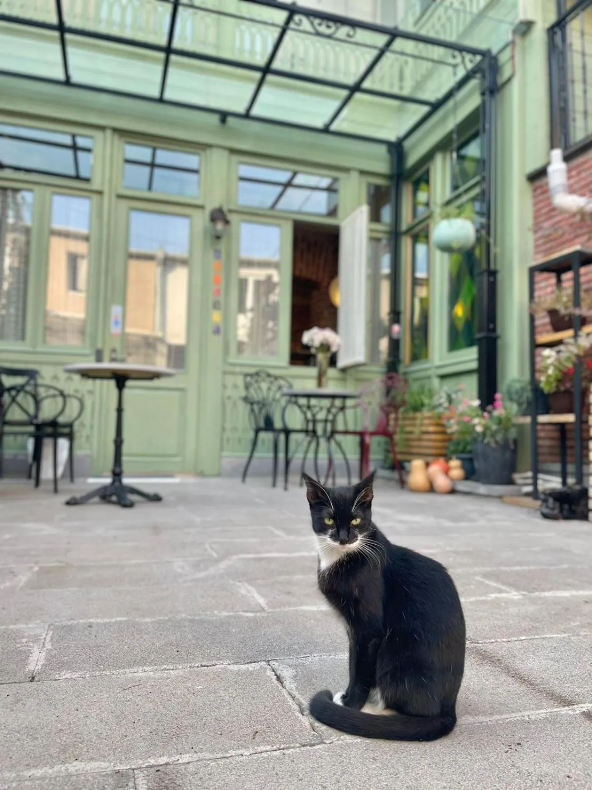 Inner courtyard view in Artisan Boutique Hotel & Gallery