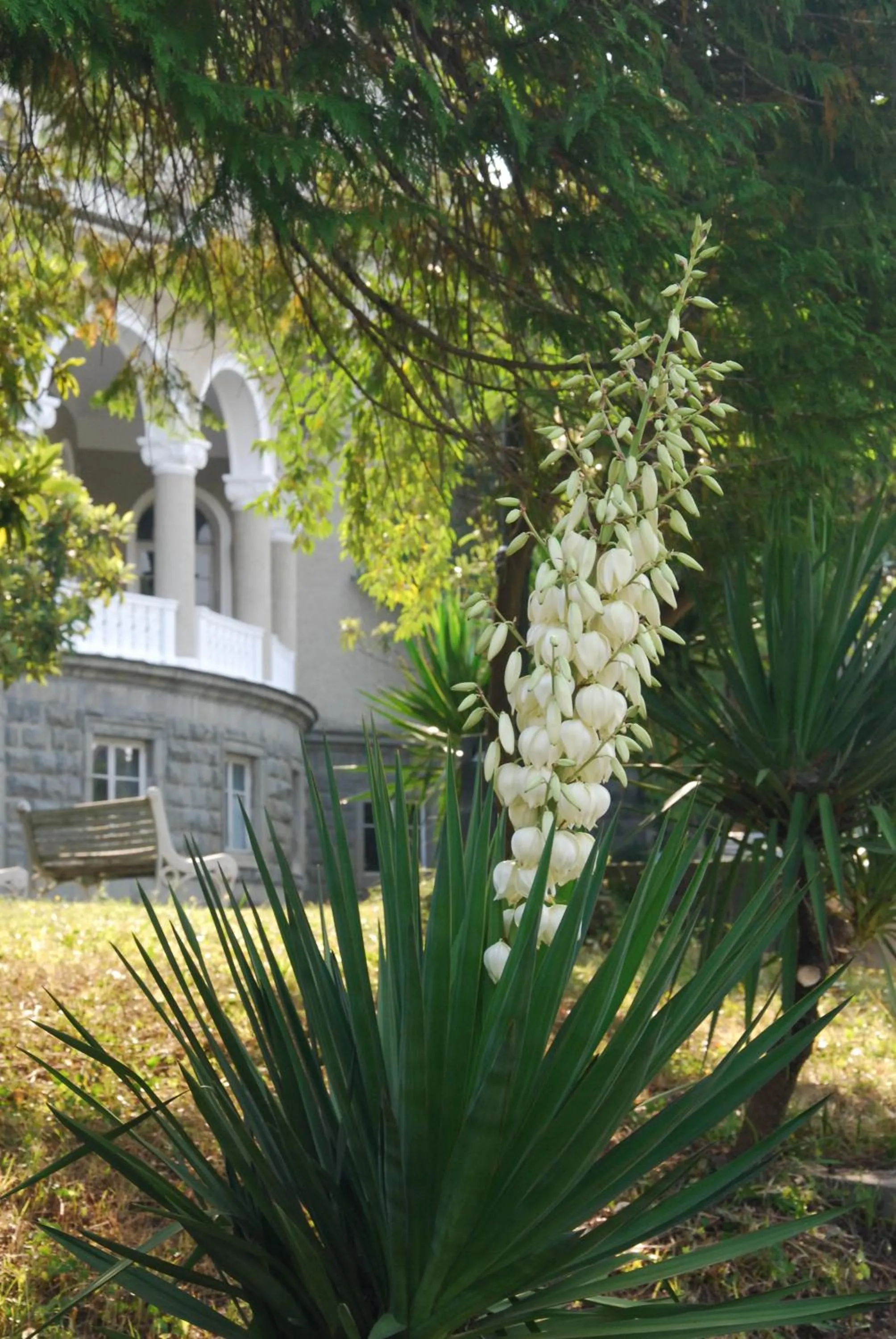 Area and facilities in Legends Tskaltubo Spa Resort