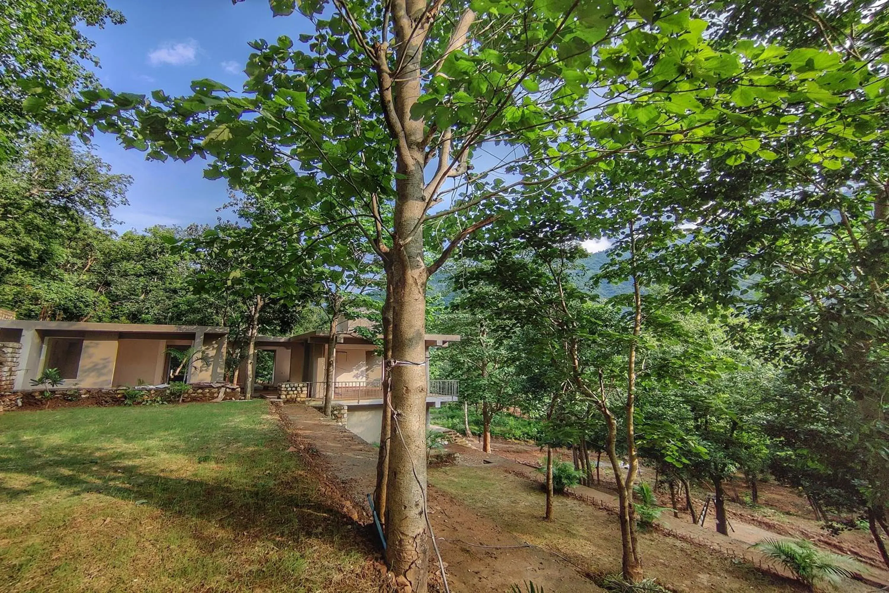 Garden view in Atali Ganga Resort, Rishikesh Garden view in Atali Ganga Resort, Rishikesh