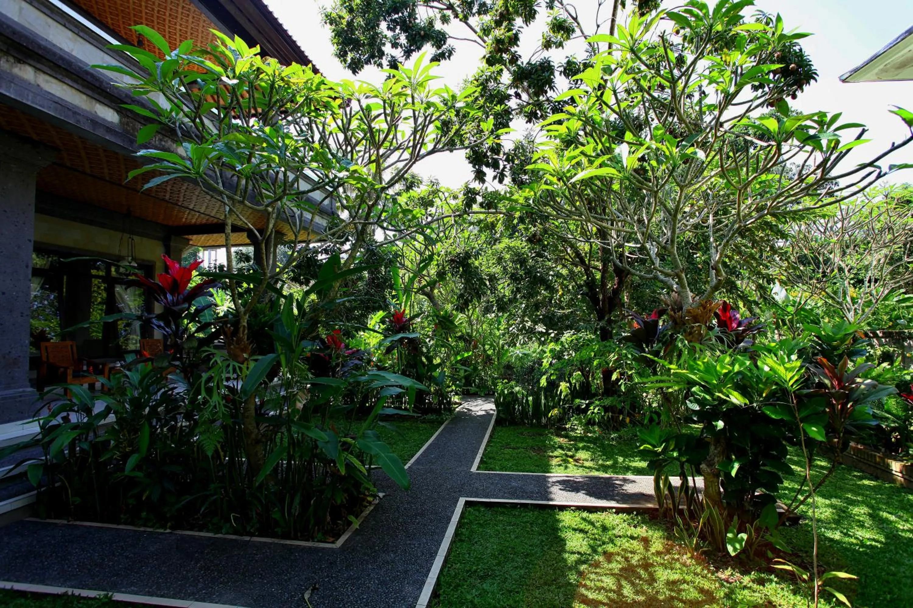 Garden in Bismajaya Bungalow