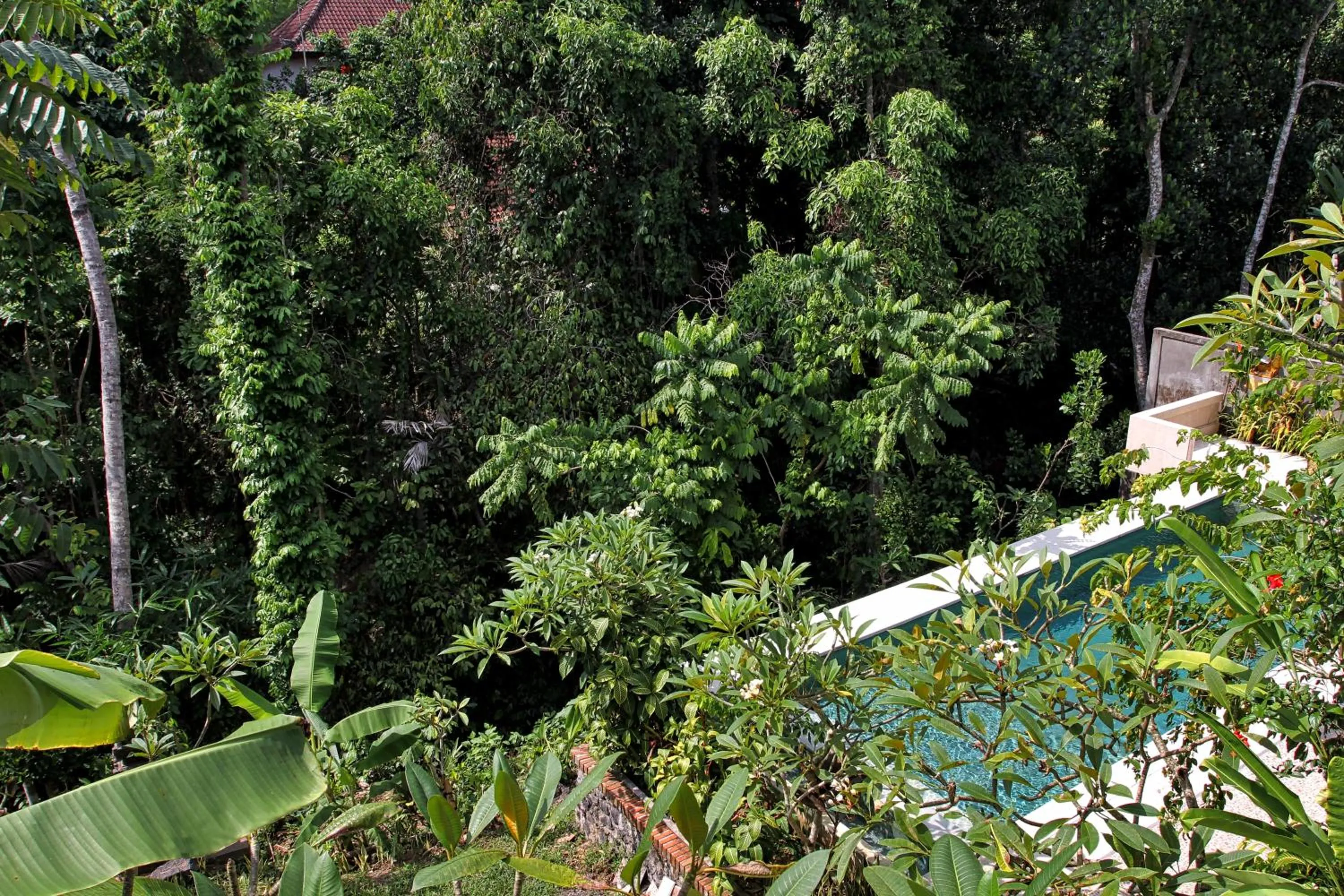 River view in Bismajaya Bungalow