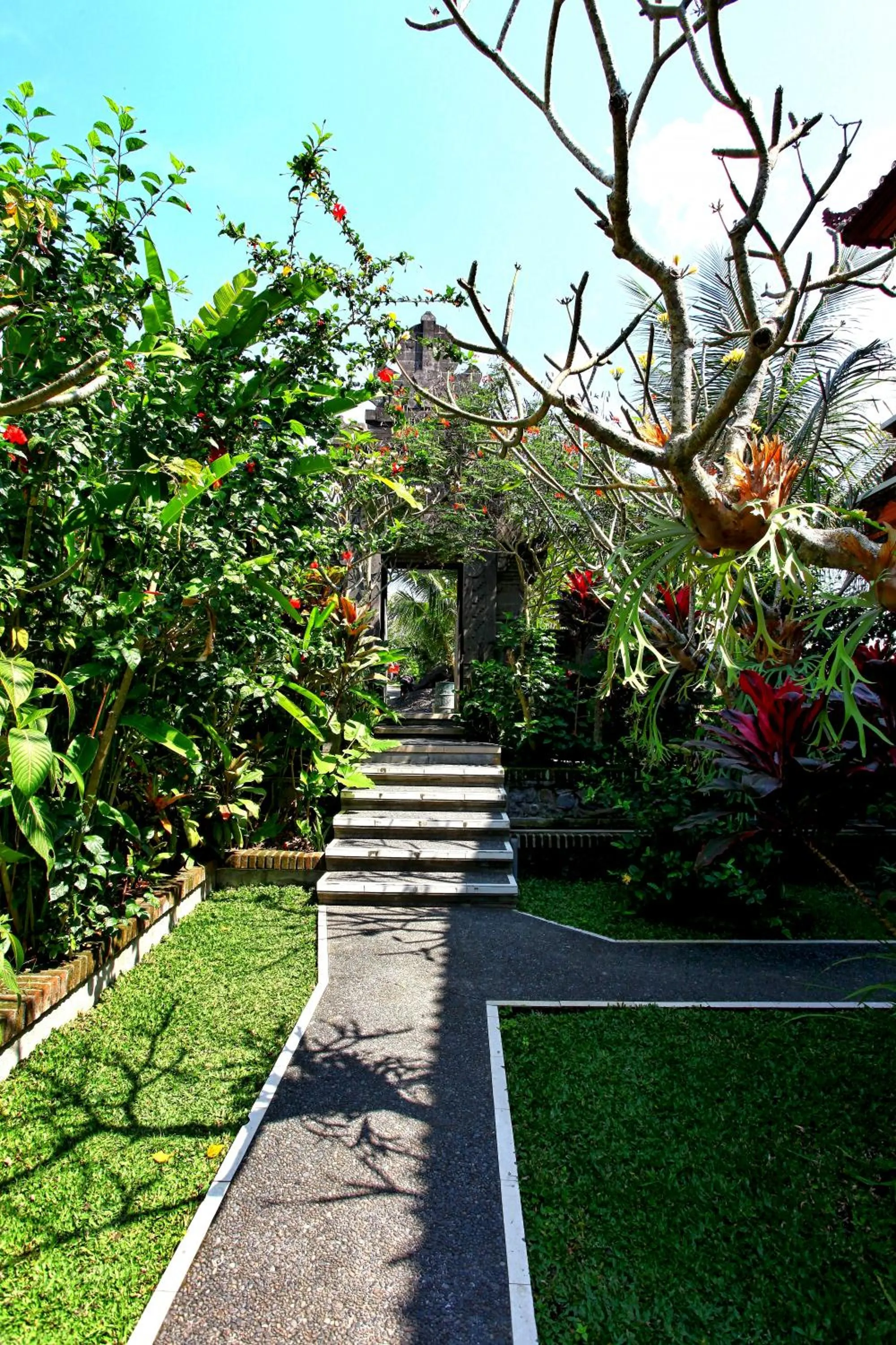 Natural landscape in Bismajaya Bungalow