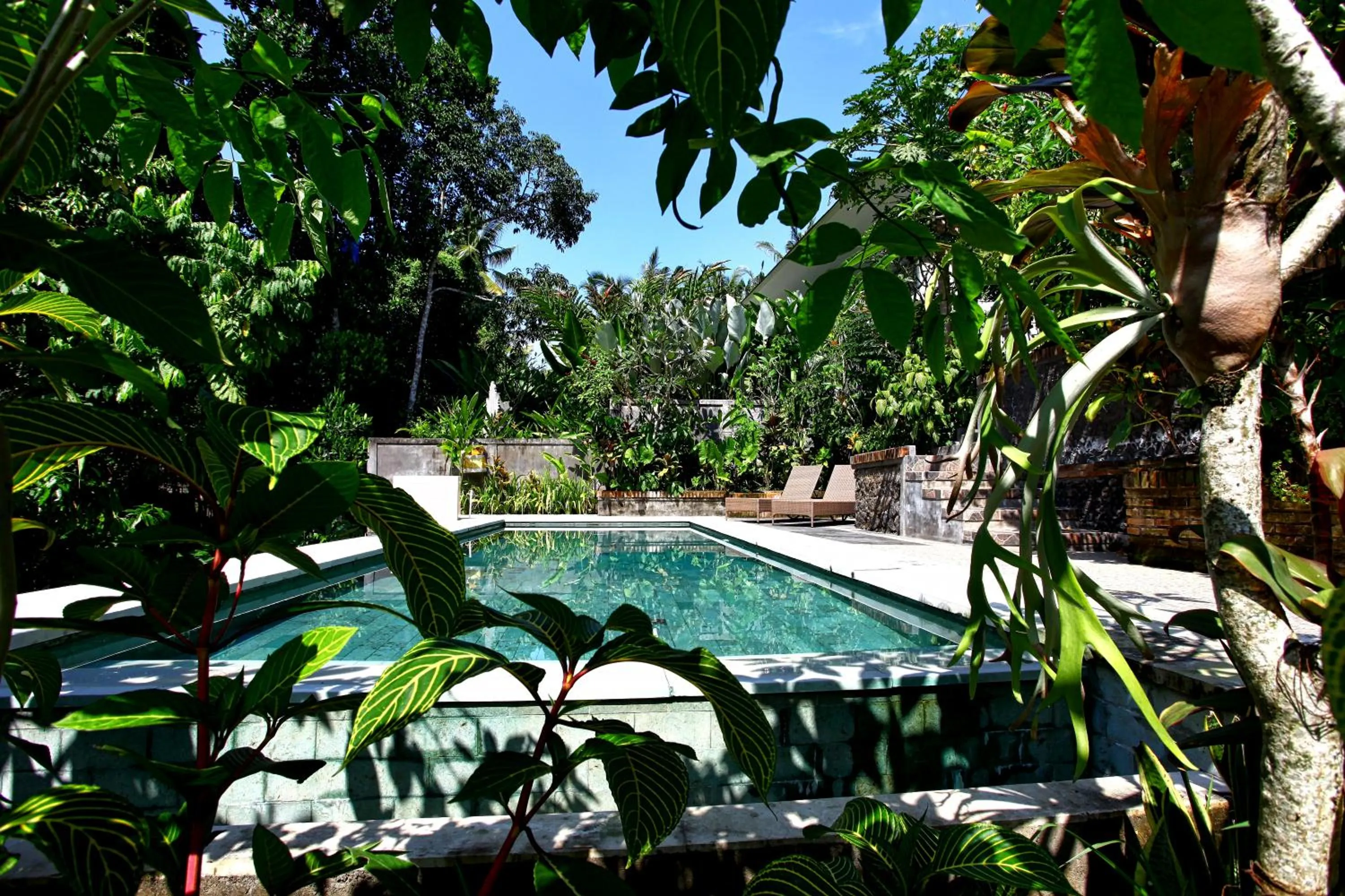 Swimming pool in Bismajaya Bungalow