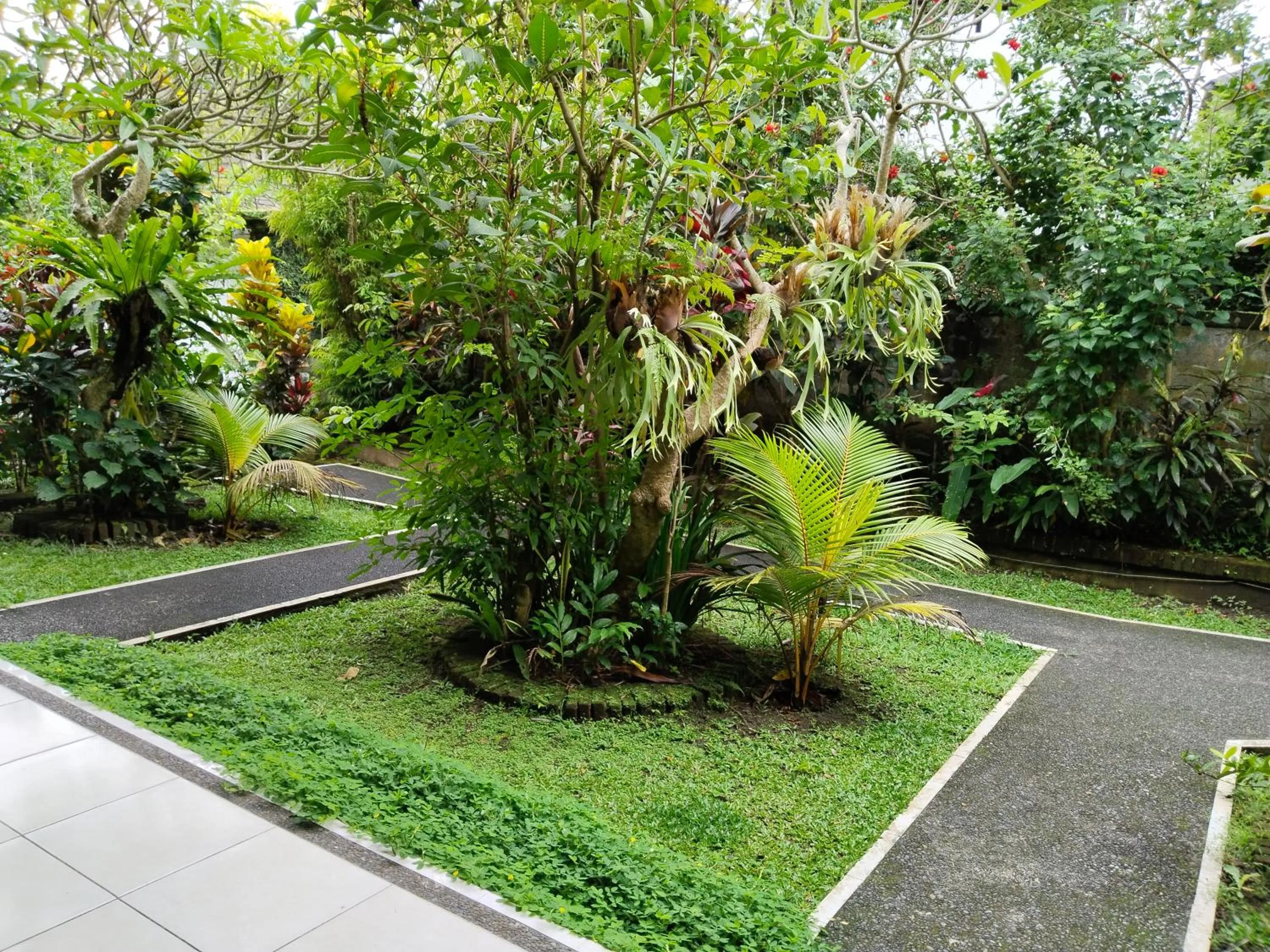 Natural landscape in Bismajaya Bungalow