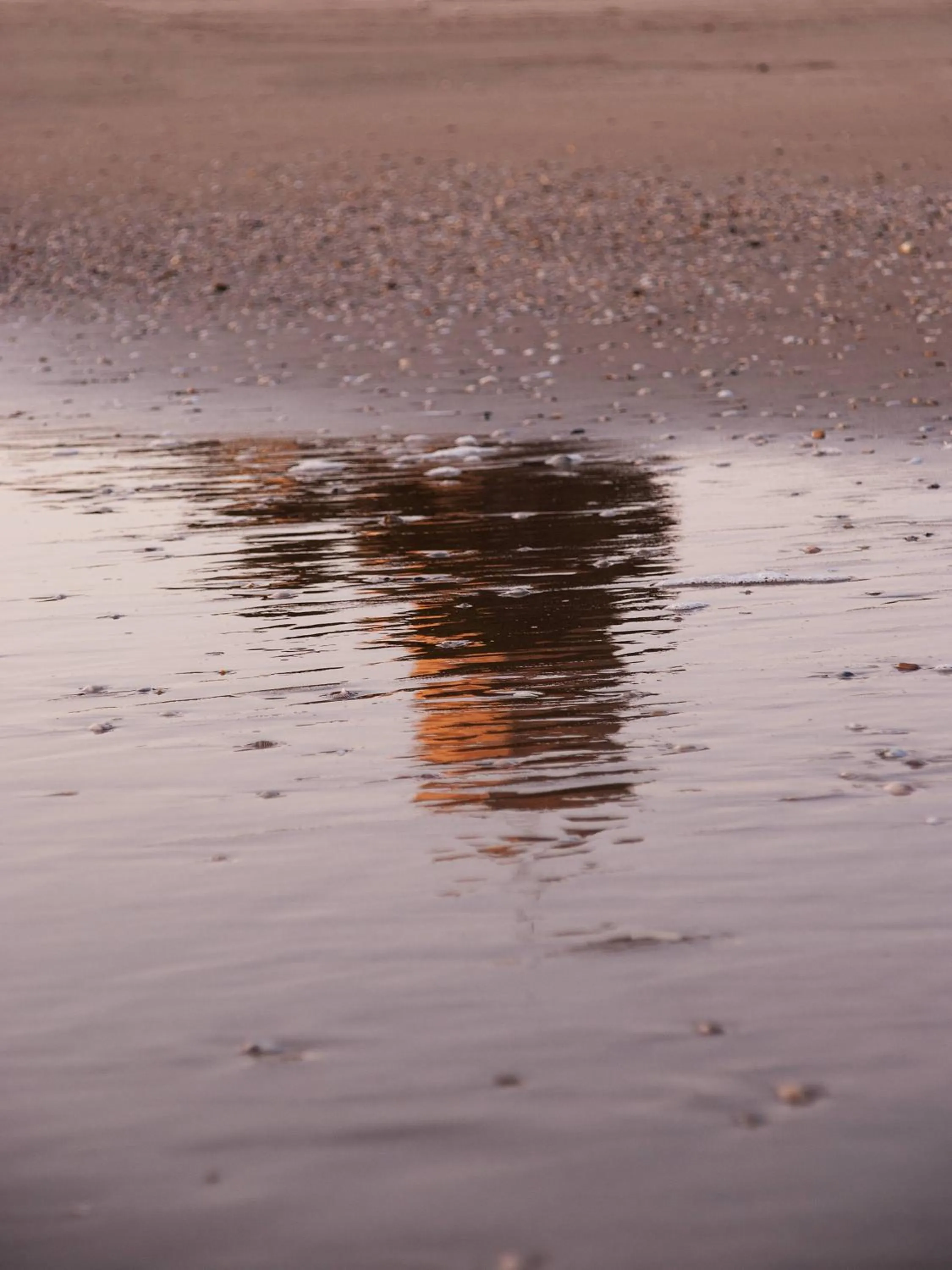 Nearby landmark in Hotel Parco degli Ulivi