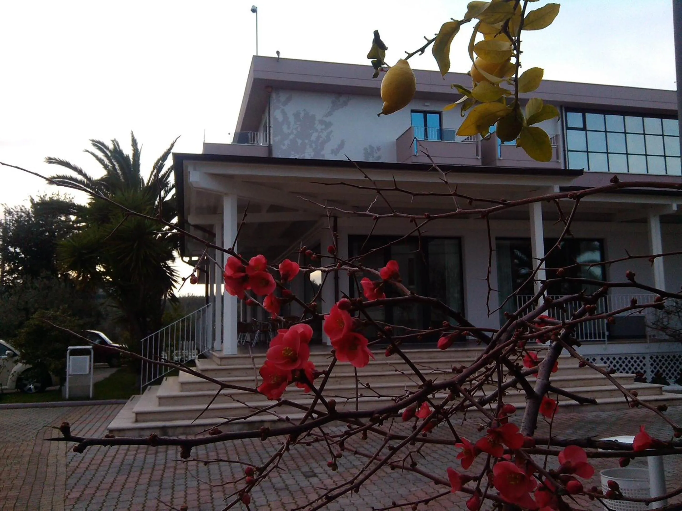 Facade/entrance in Hotel Parco degli Ulivi