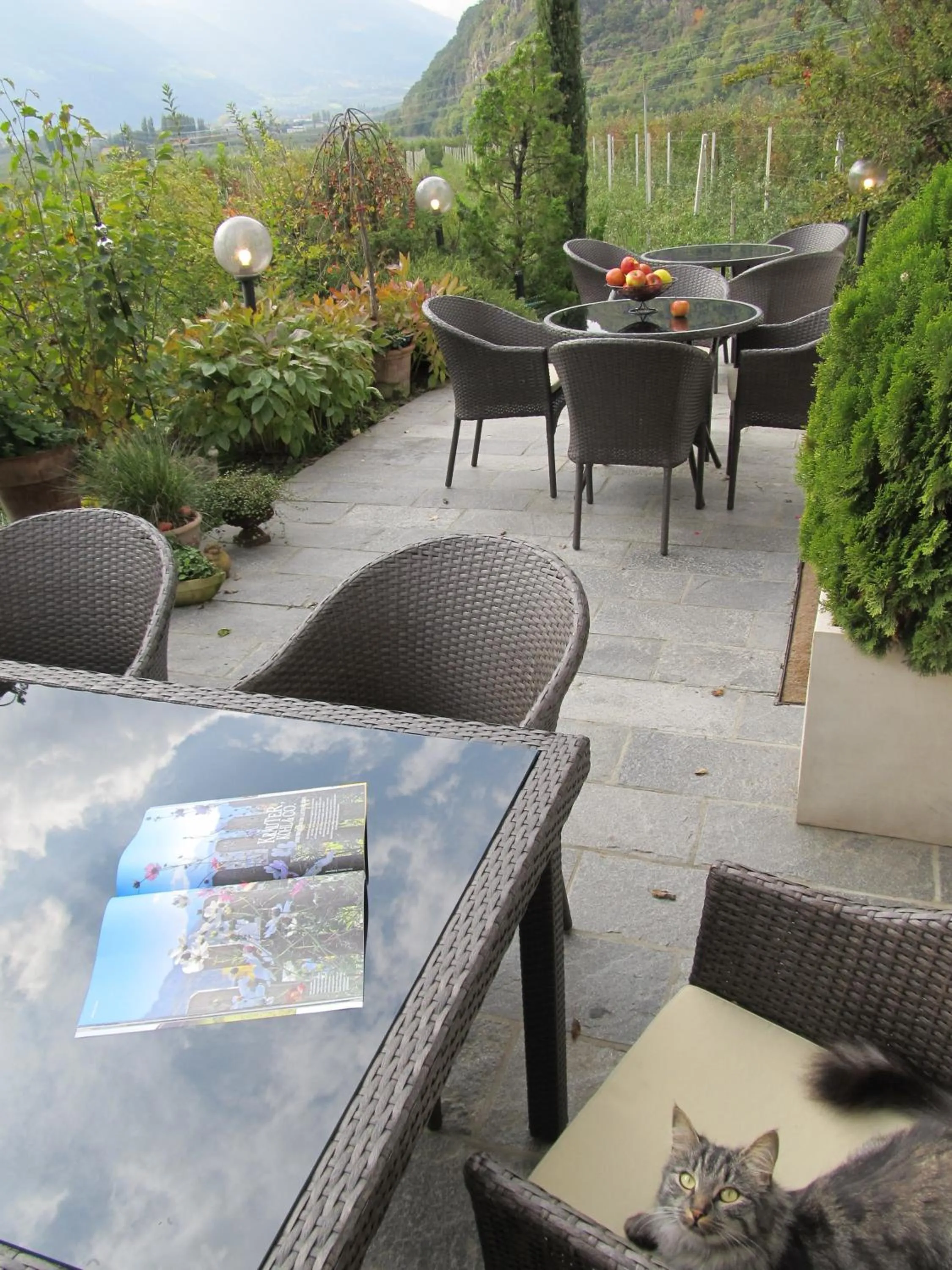 Balcony/Terrace in Garni Weghueb