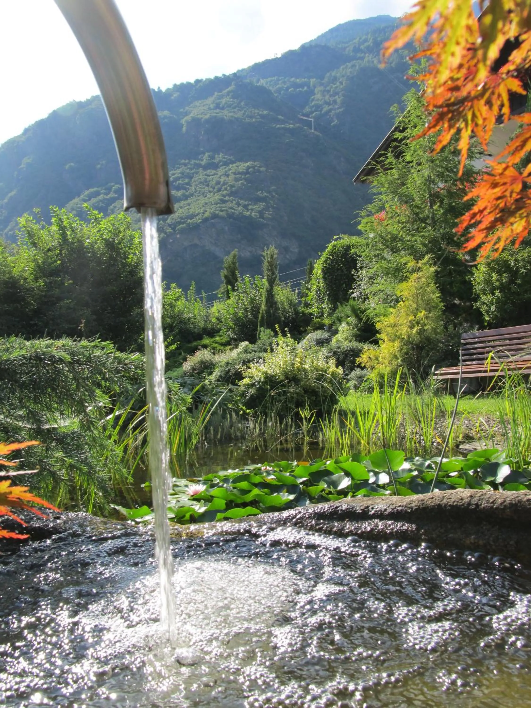 Garden in Garni Weghueb