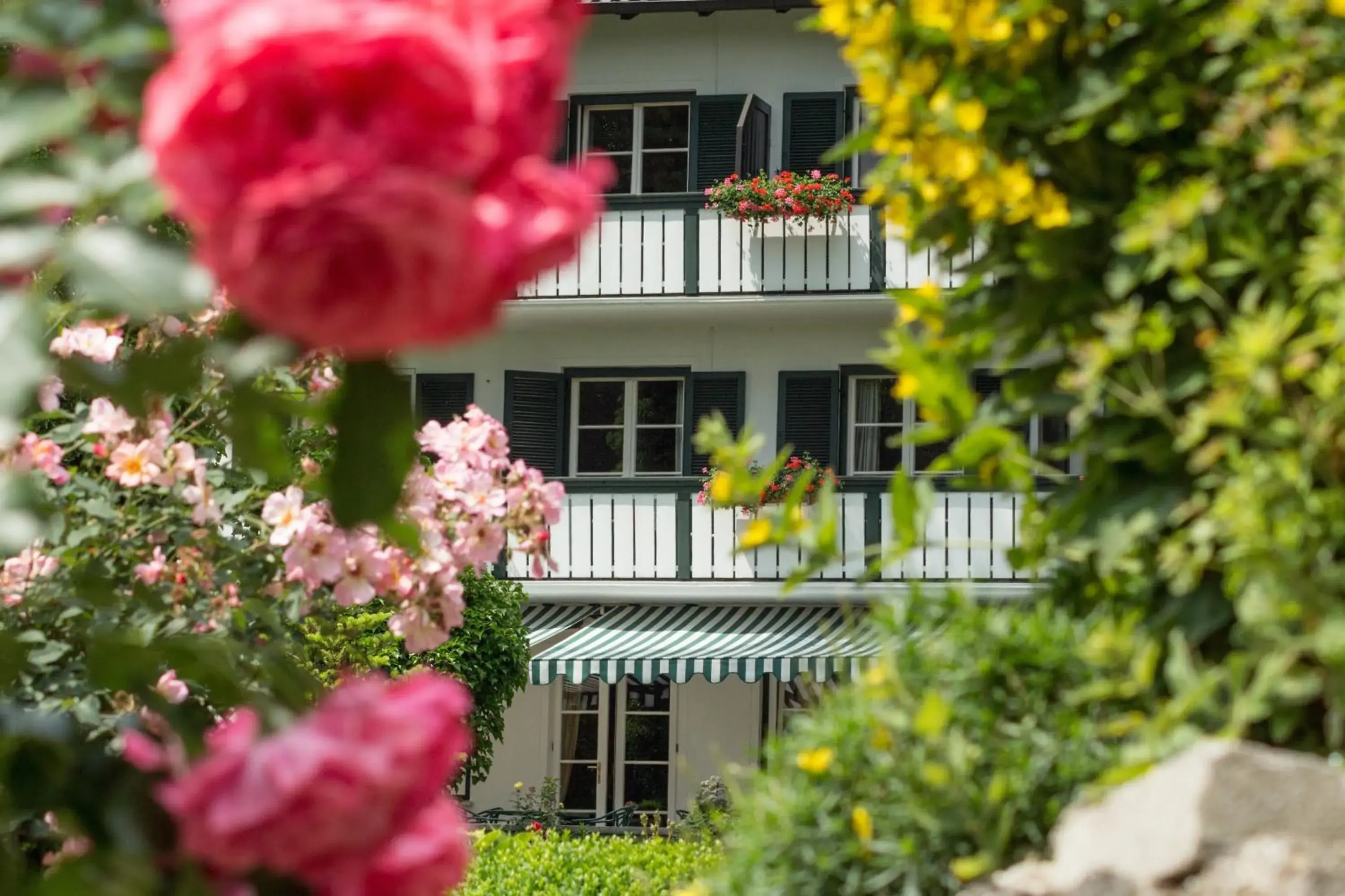 Facade/entrance, Property Building in Garden-Hotel Reinhart