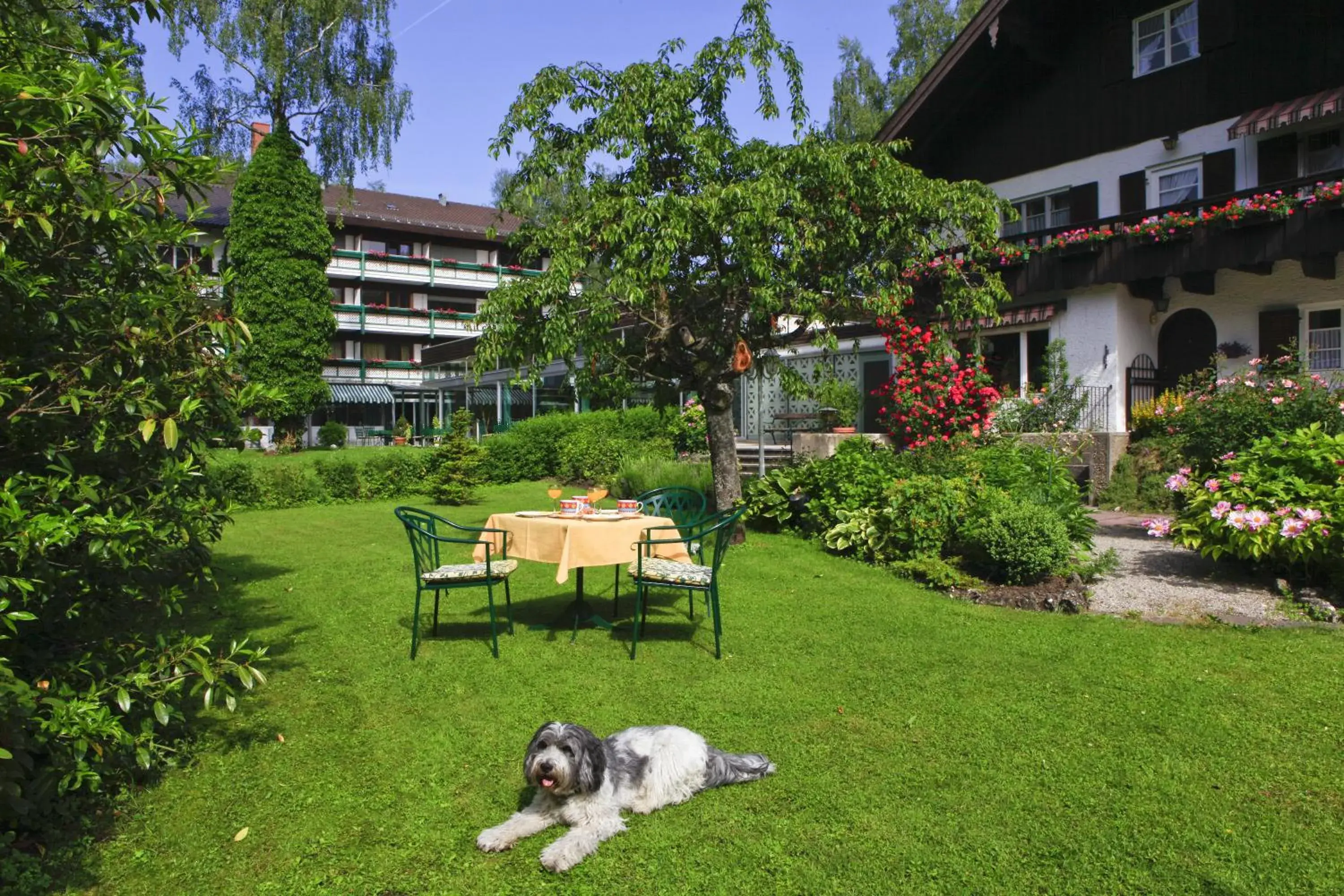 Garden, Property Building in Garden-Hotel Reinhart