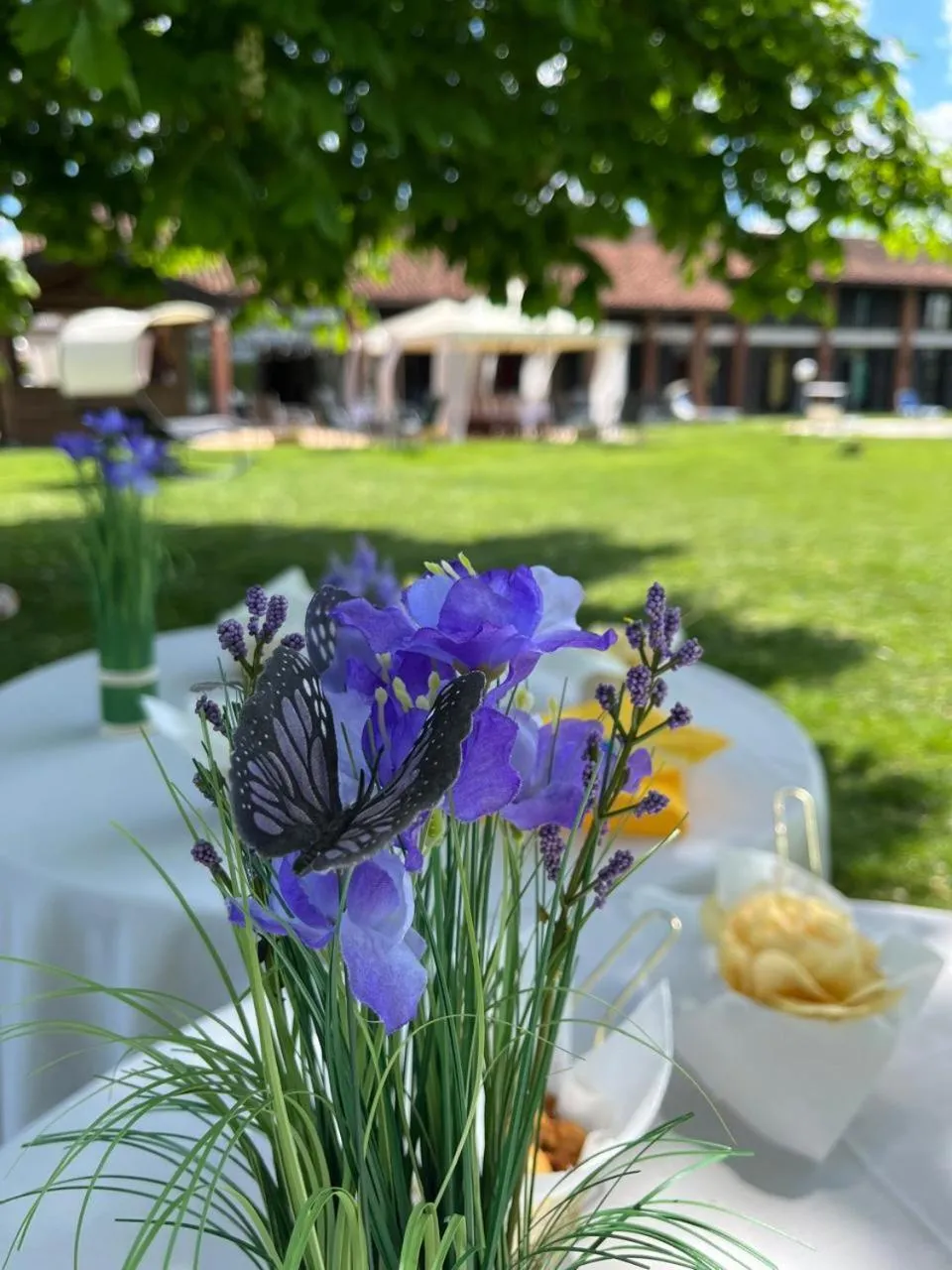 Garden in Albergo Cosmera