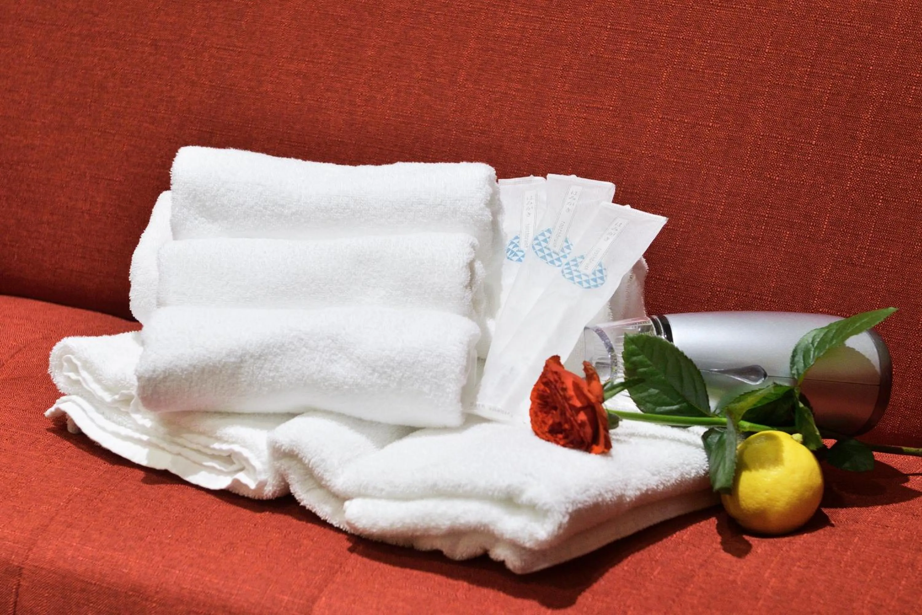 heating in Hotel Mondonce Kyoto Gojo