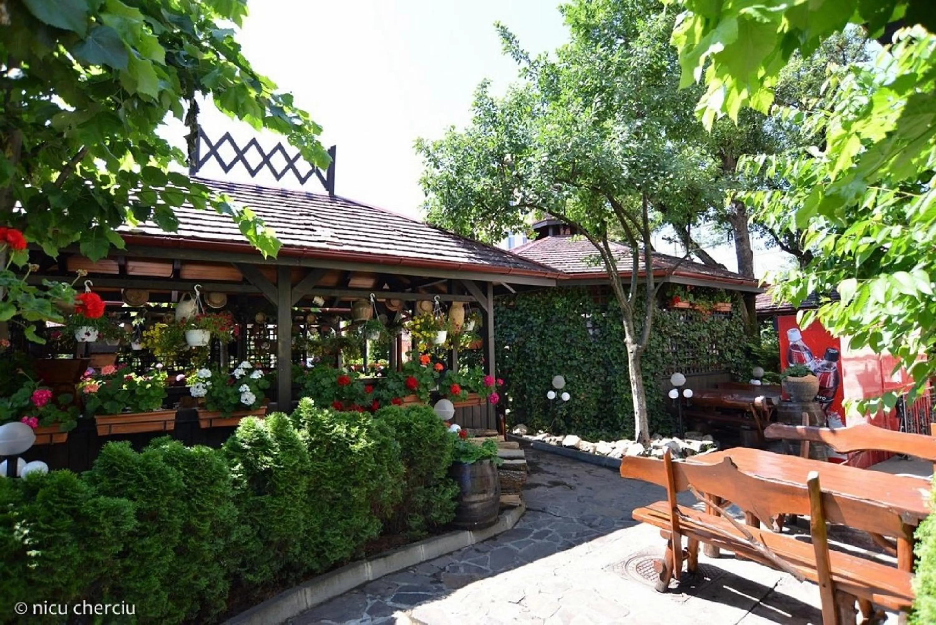 Patio in Crama Haiducilor