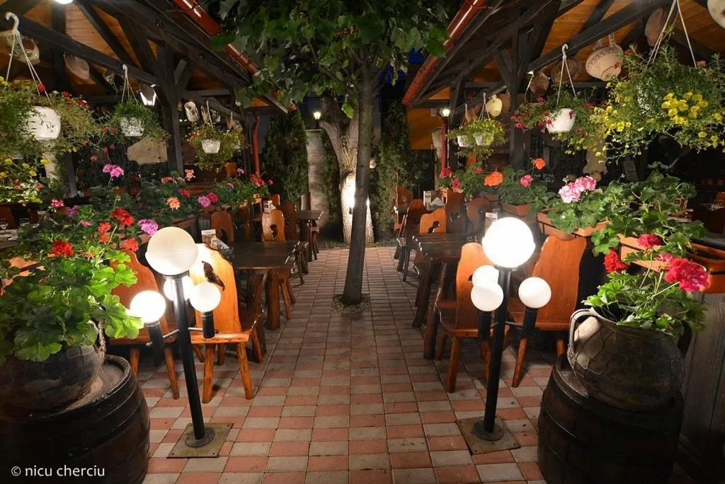 Restaurant/places to eat in Crama Haiducilor