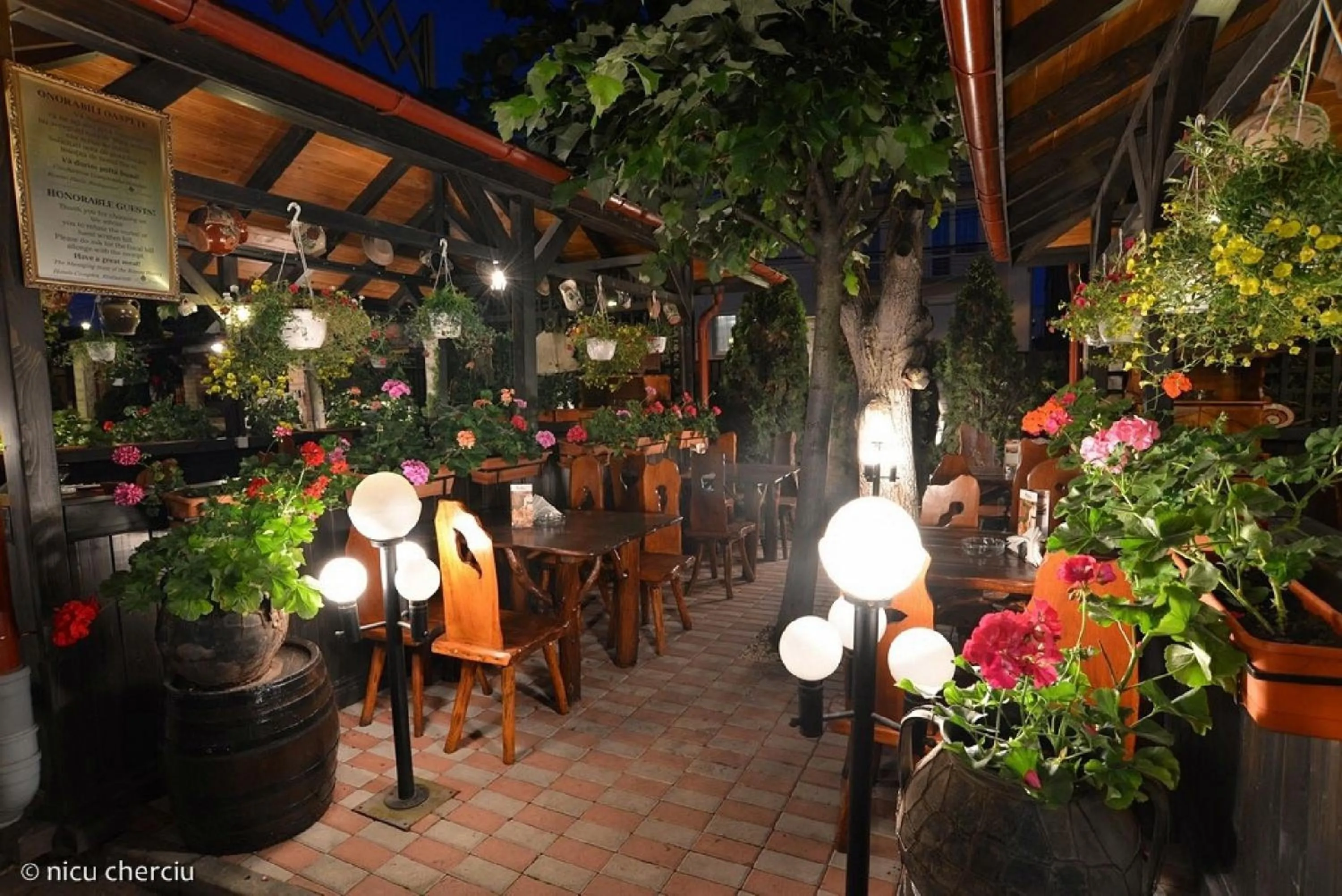 Patio in Crama Haiducilor