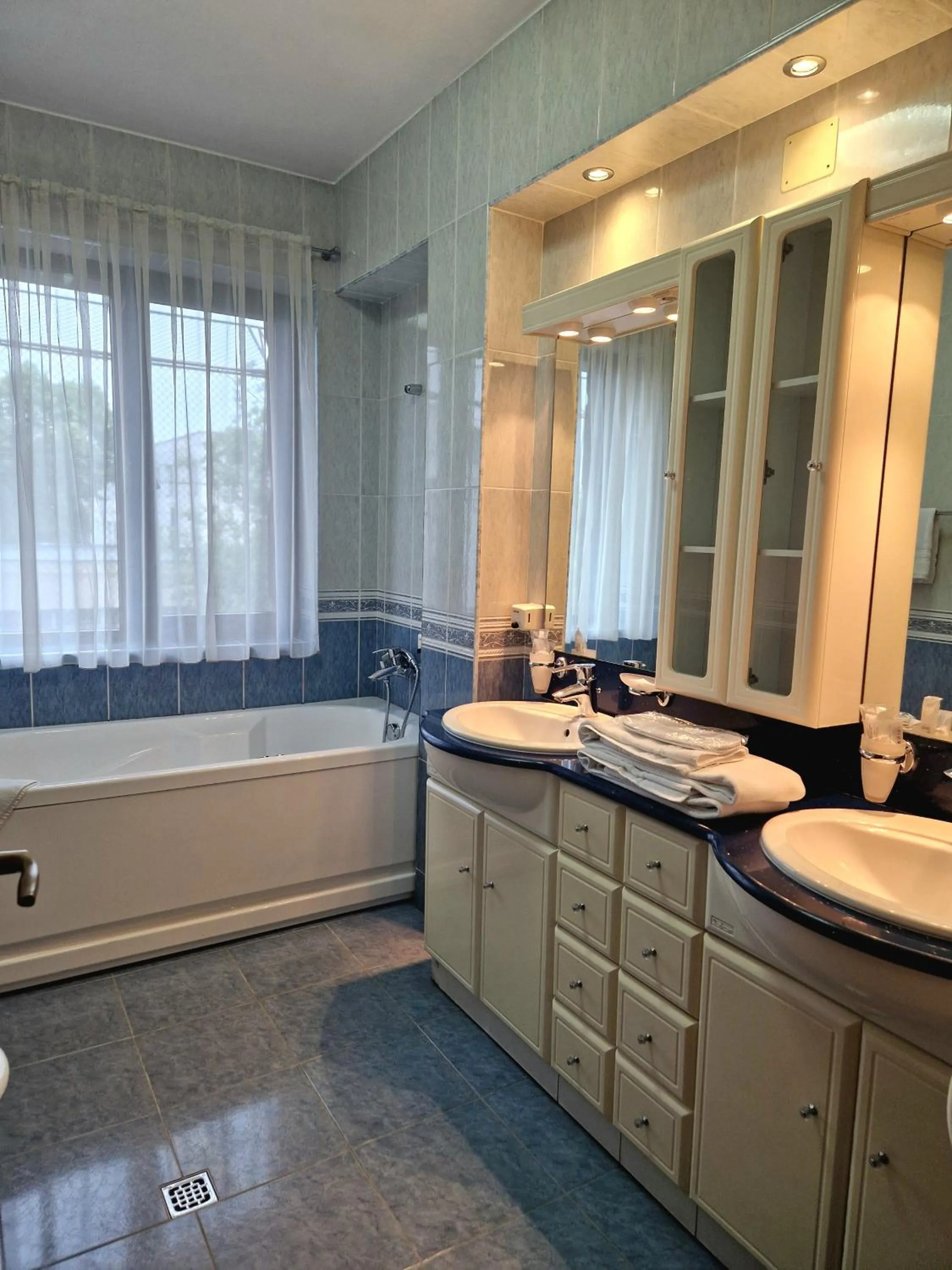 Single Room in Crama Haiducilor