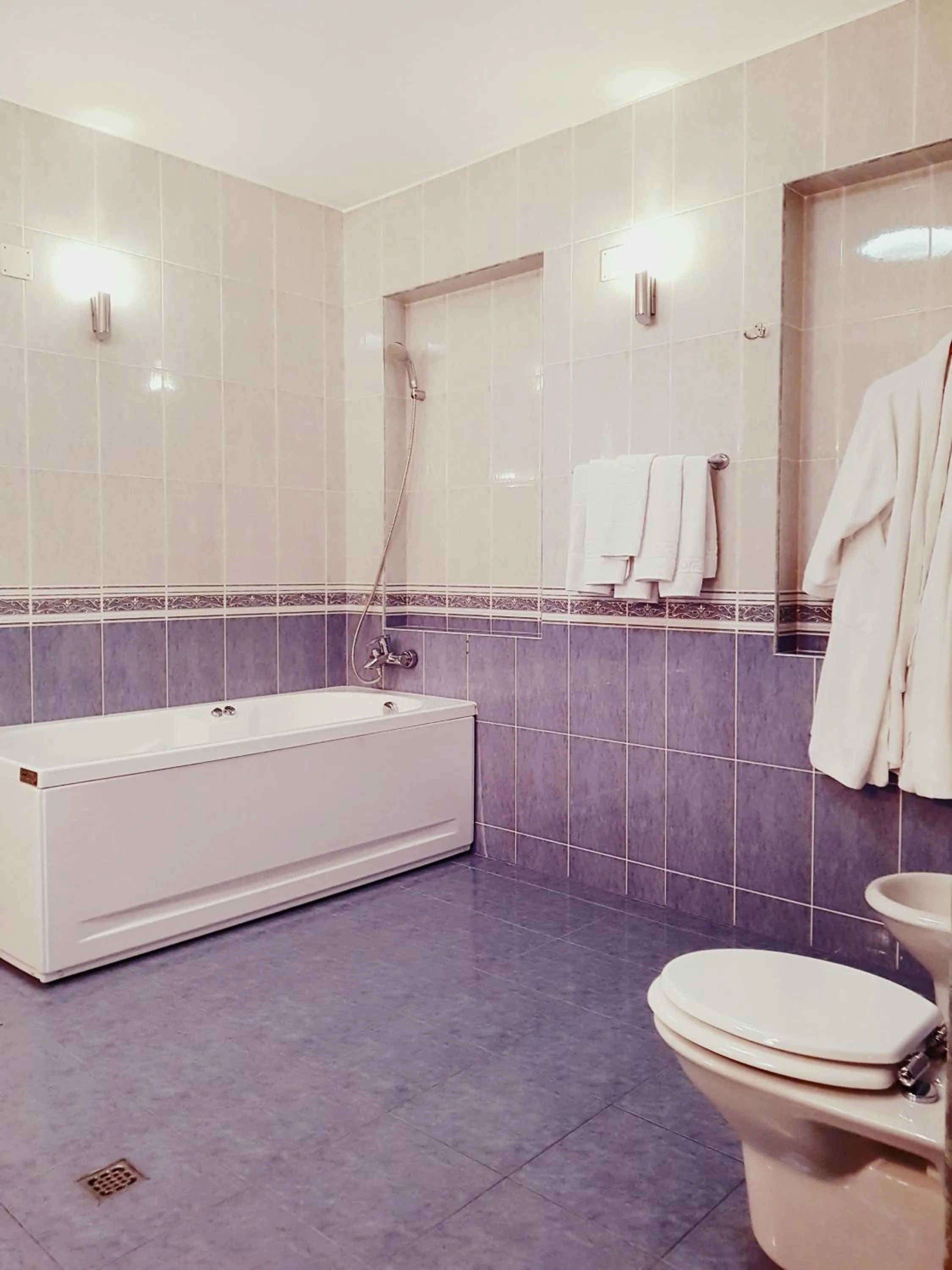 Bathroom in Crama Haiducilor