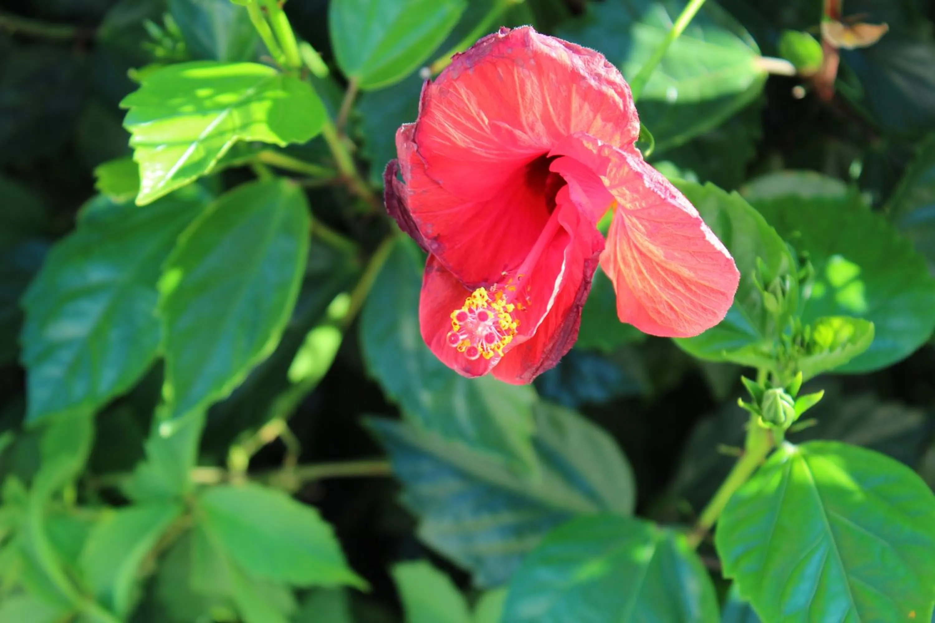 Other in Hotel Albatros