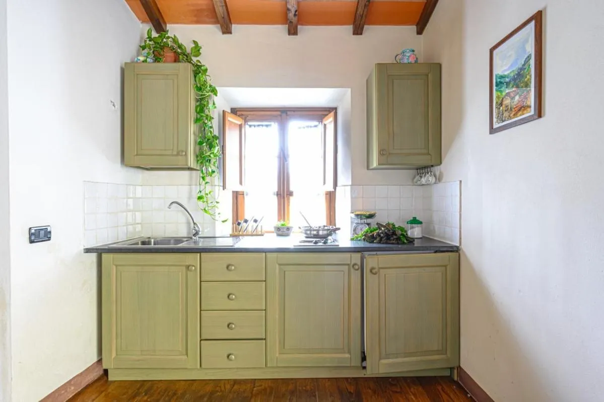 Kitchen or kitchenette in Agriturismo Pian di Fiume