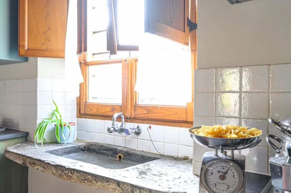 Kitchen or kitchenette in Agriturismo Pian di Fiume