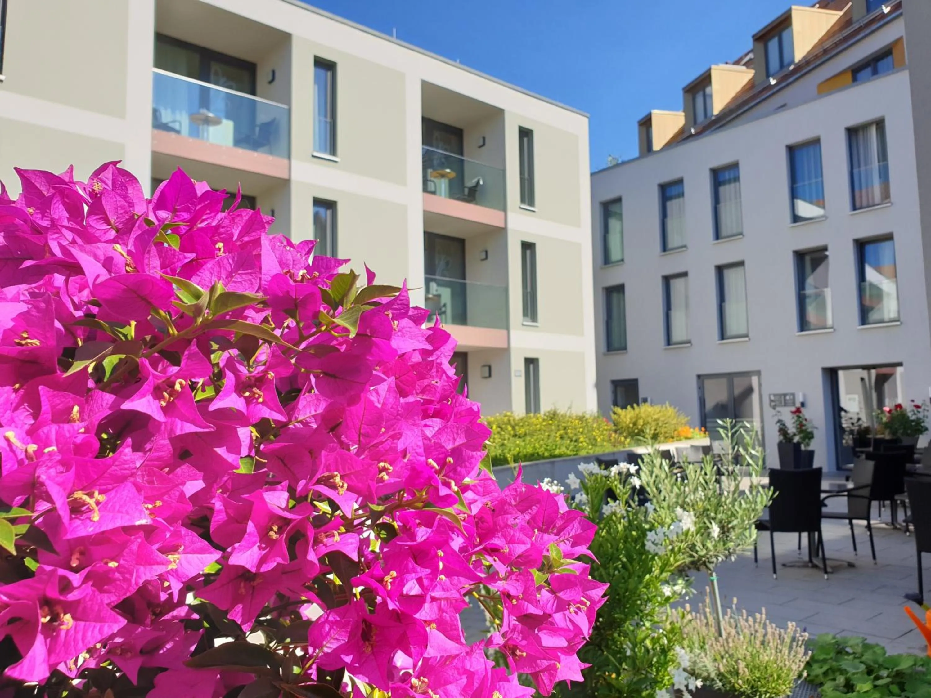 Patio in Hotel Am Kaisersaal