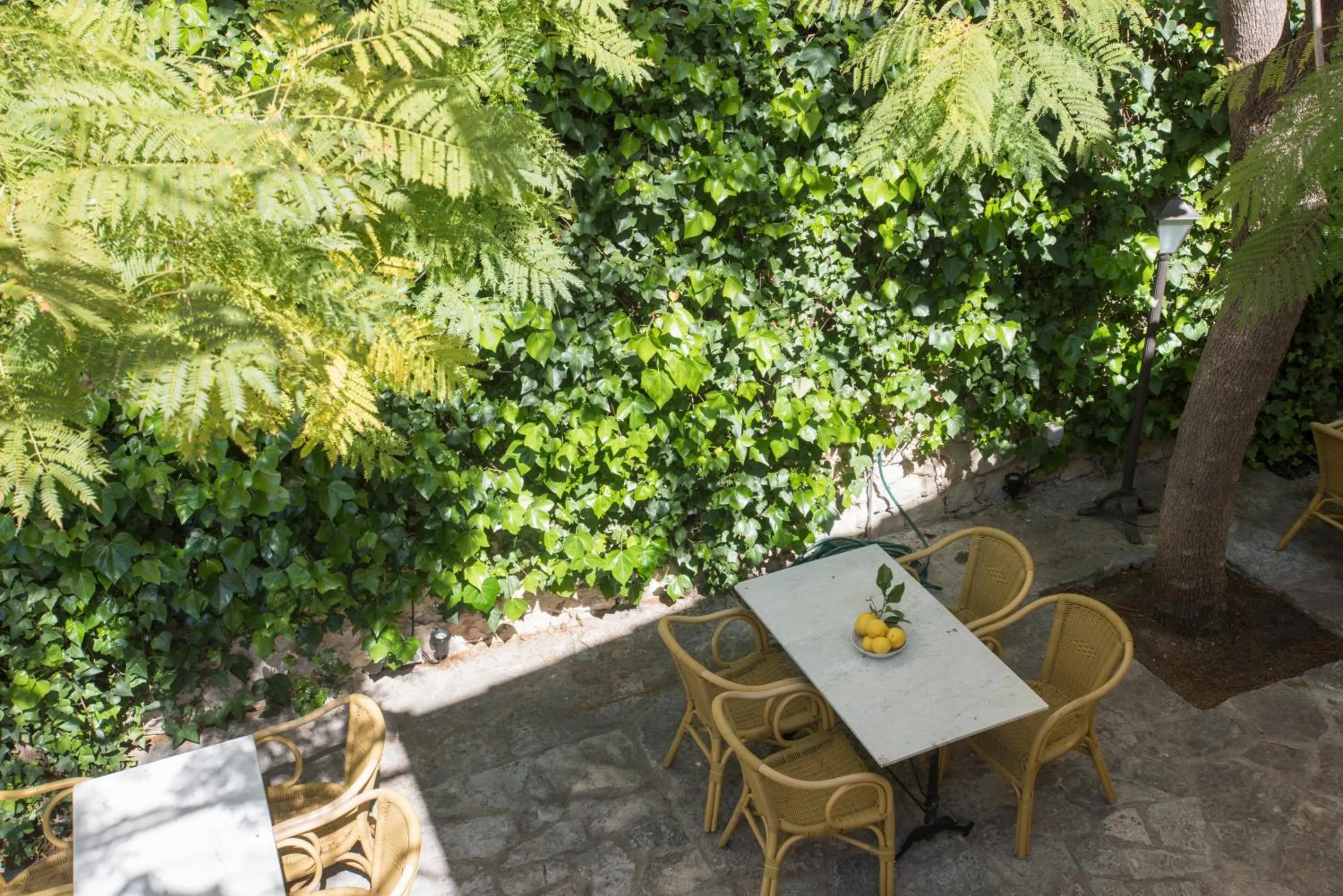 Garden in Sa Bisbal - Turismo de interior