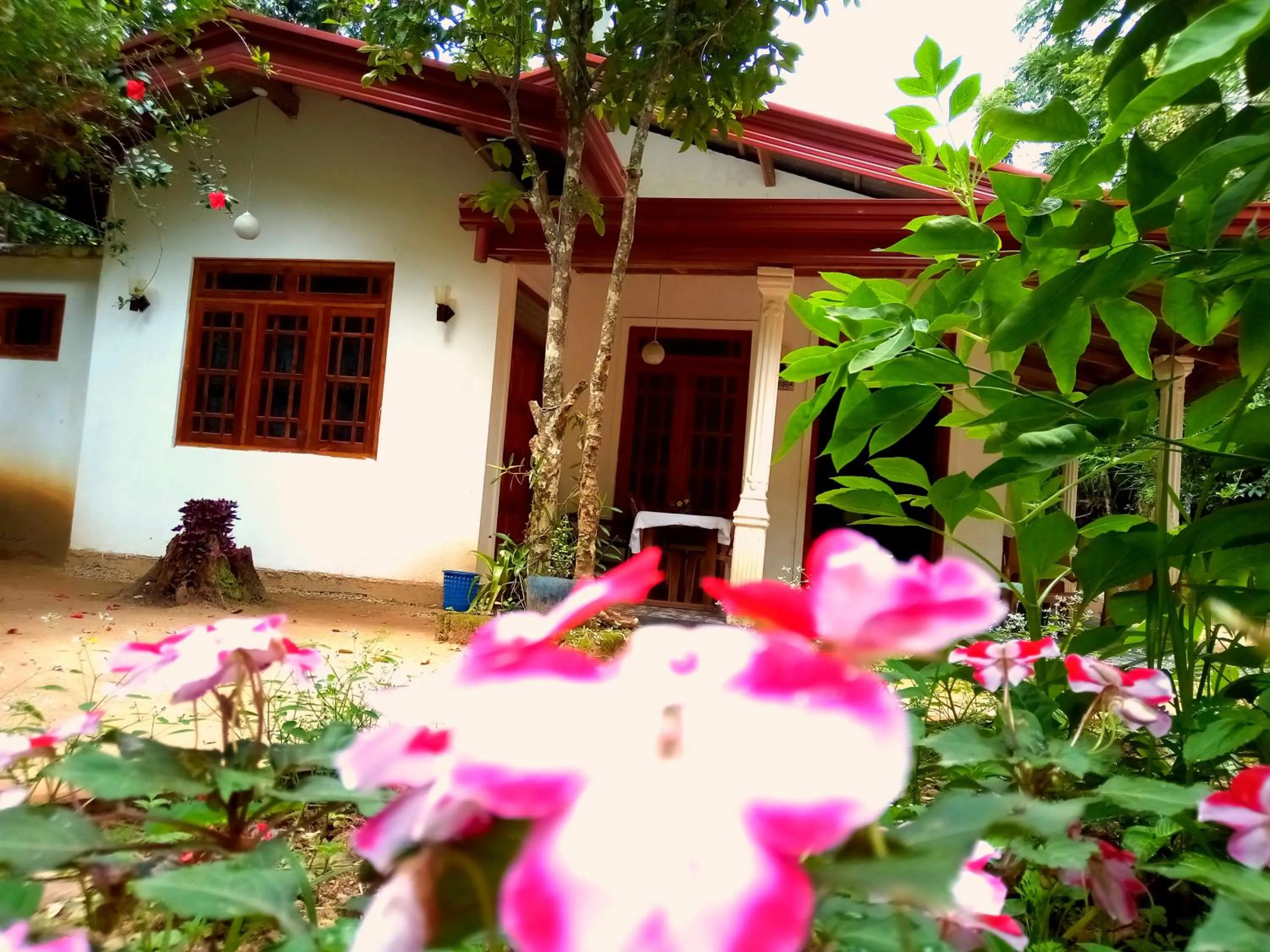 Ella Jungle Inn Homestay And Tree House