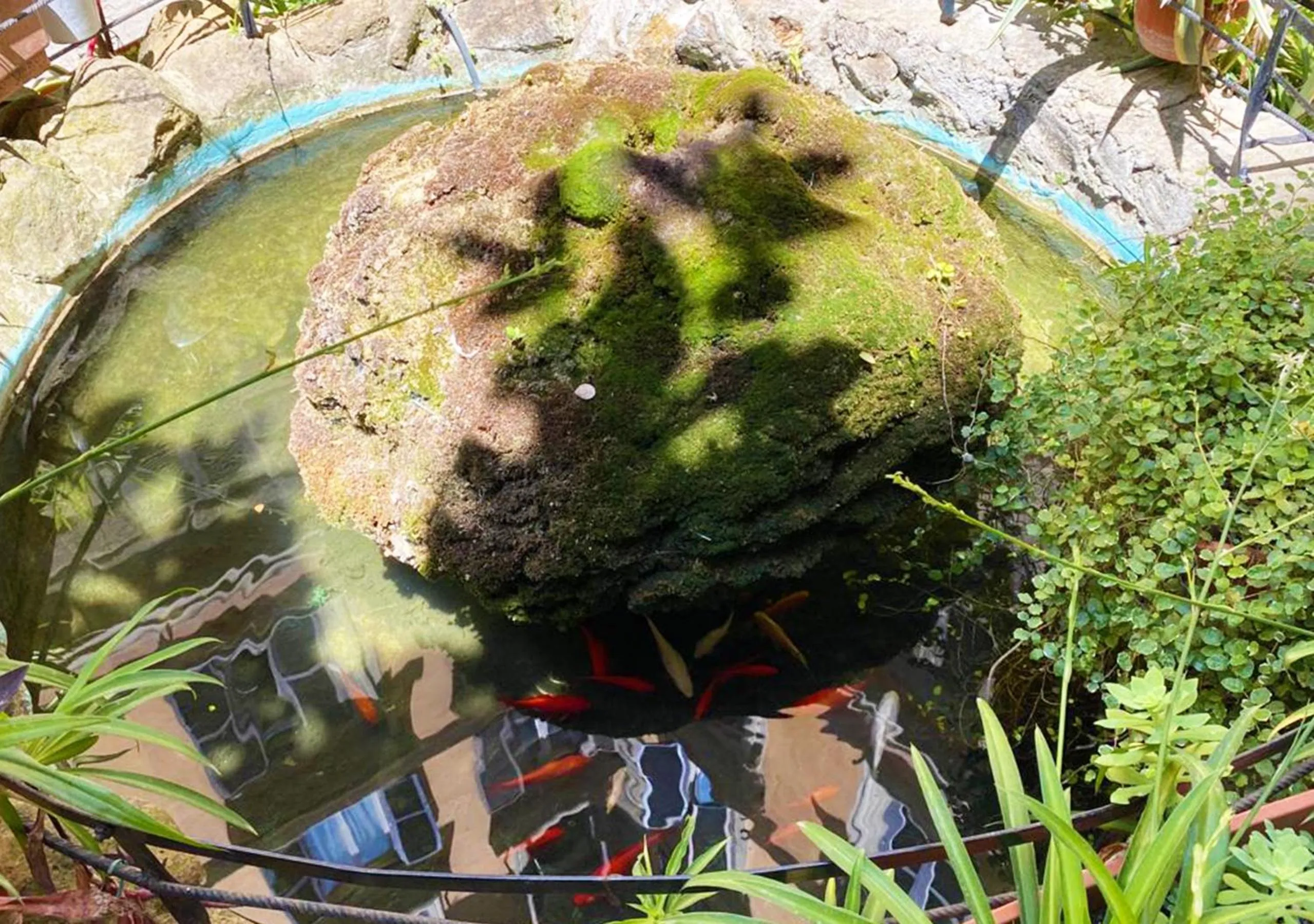 Property building in Sweet Dream Roma Termini