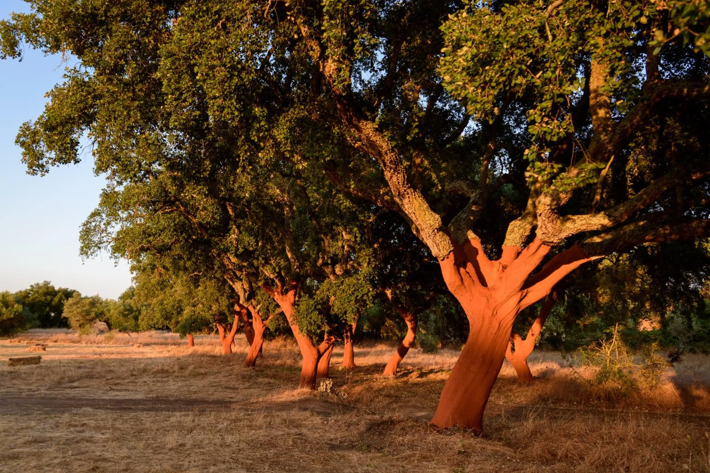 A Casa do Governador