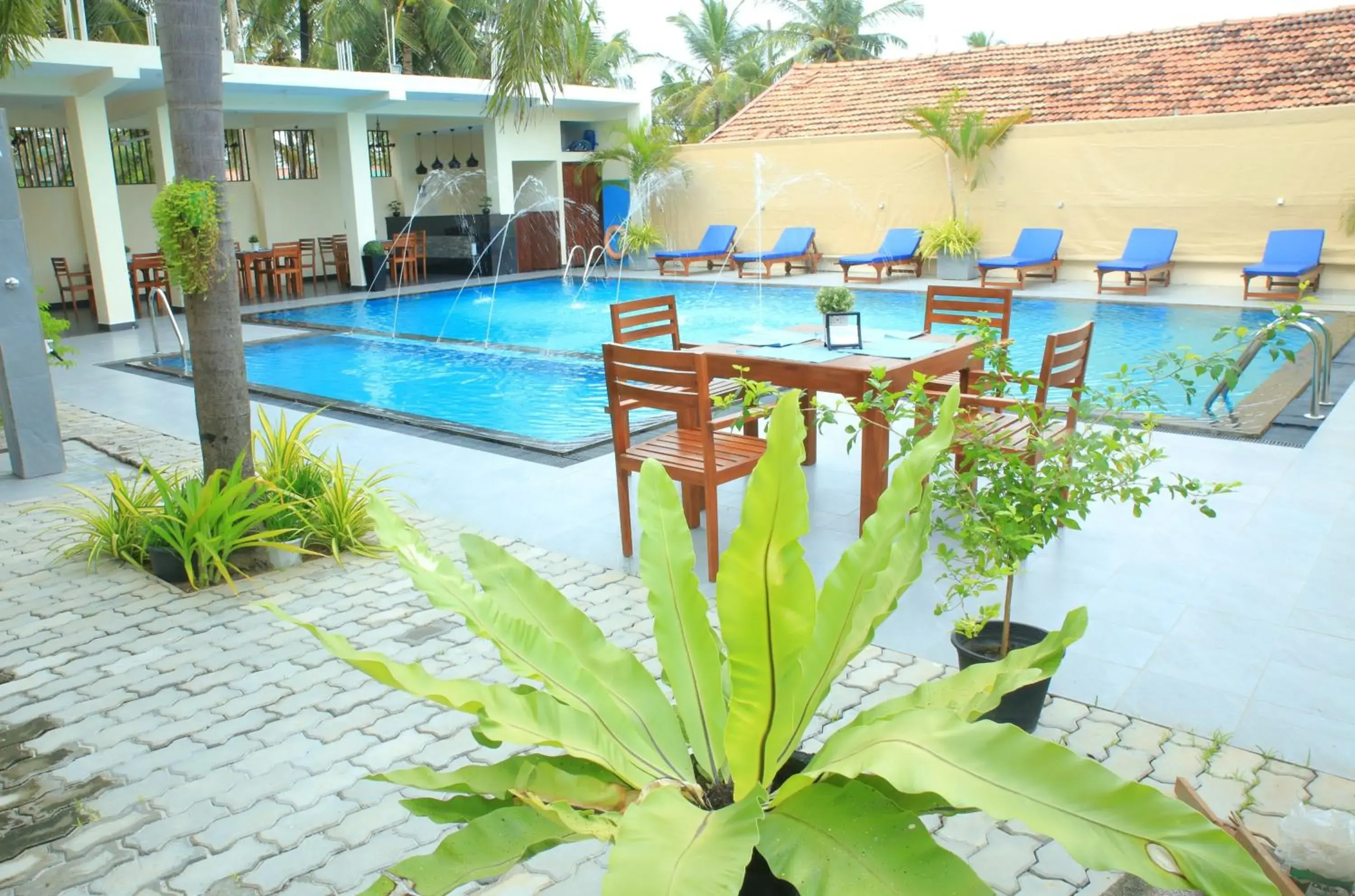 Swimming pool in The Ocean Pearl Hotel Negombo Swimming pool in The Ocean Pearl Hotel Negombo