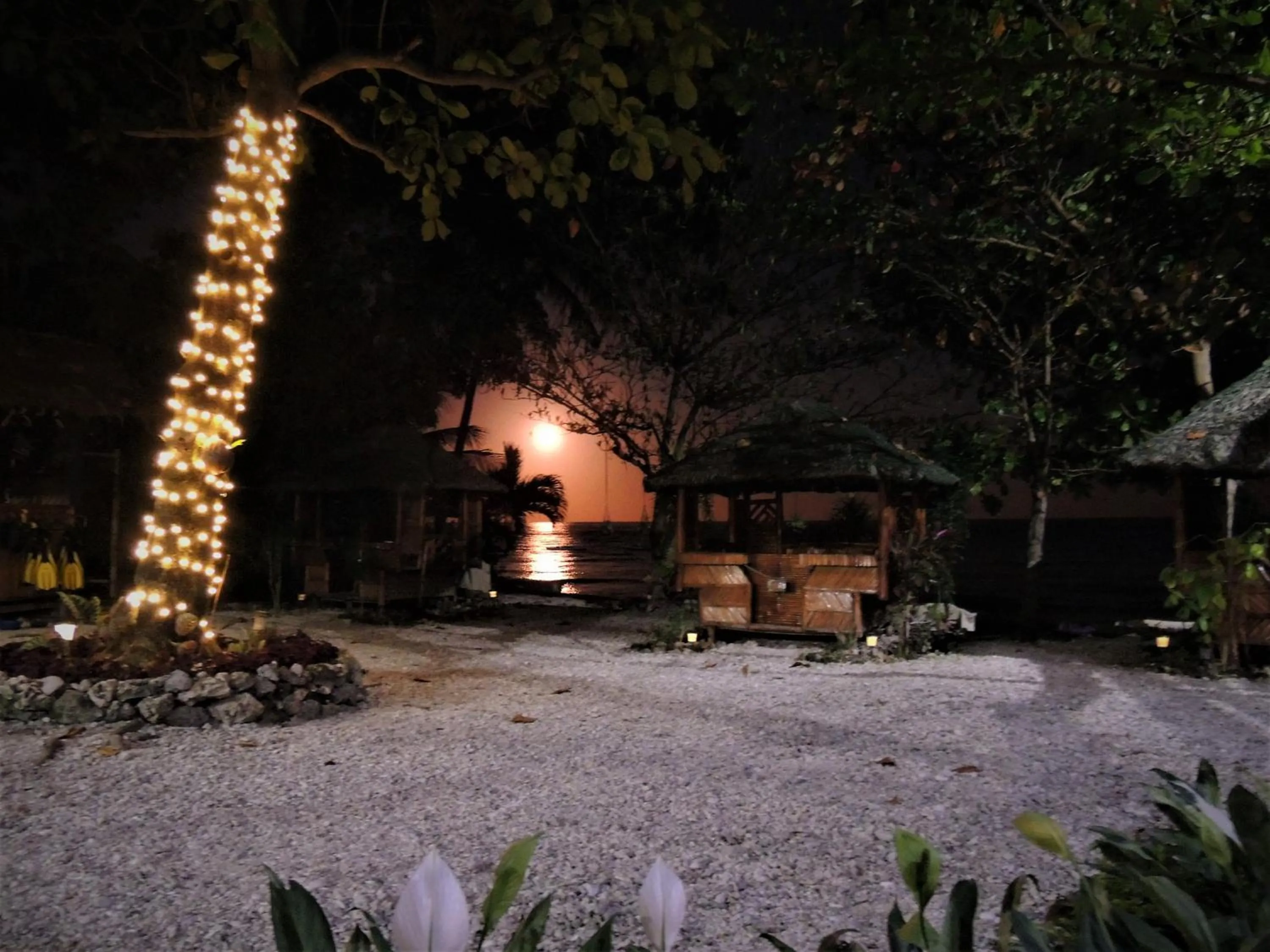 Night in AJ's Place Beach Resort