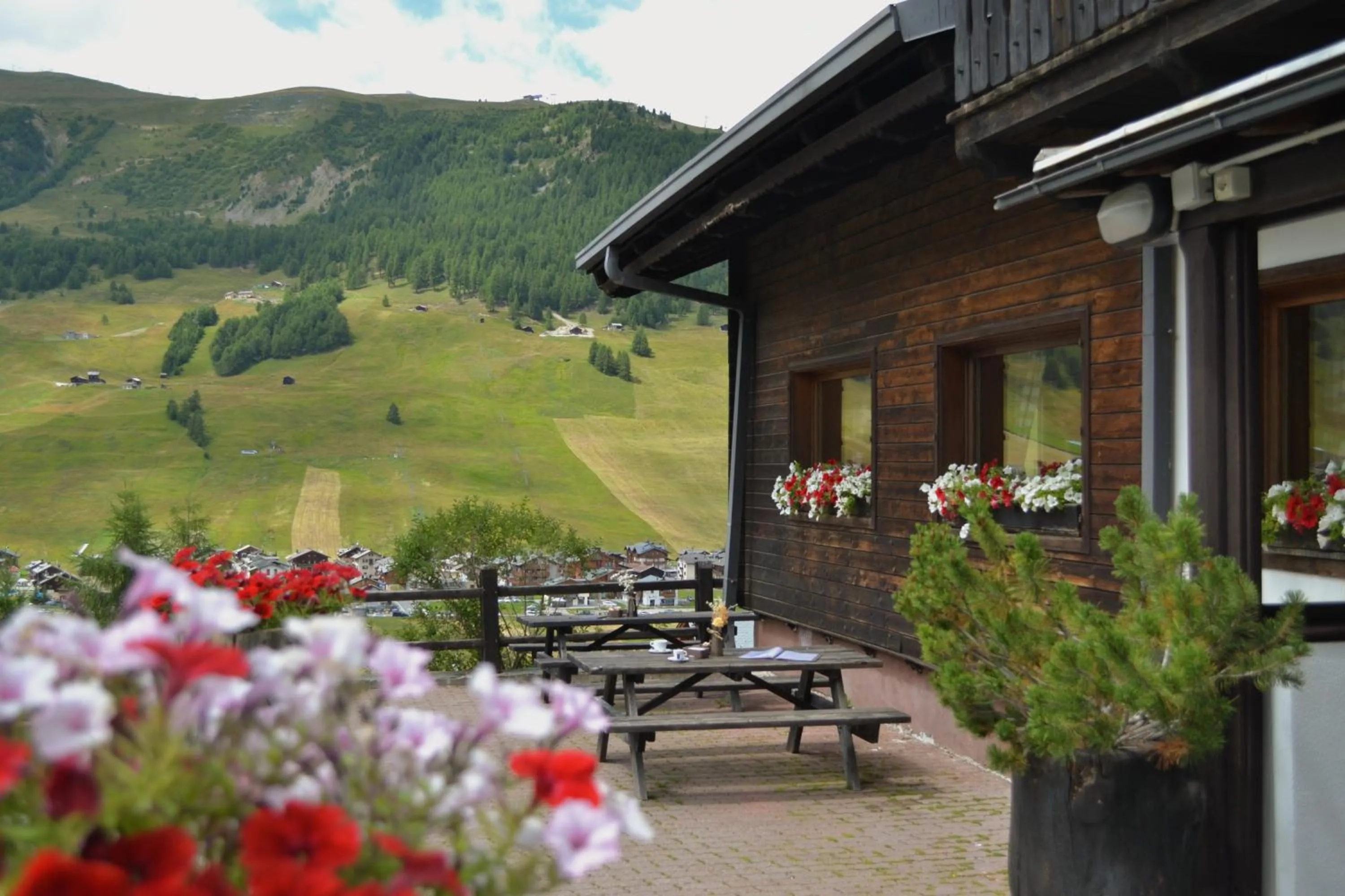 Summer in Hotel Teola