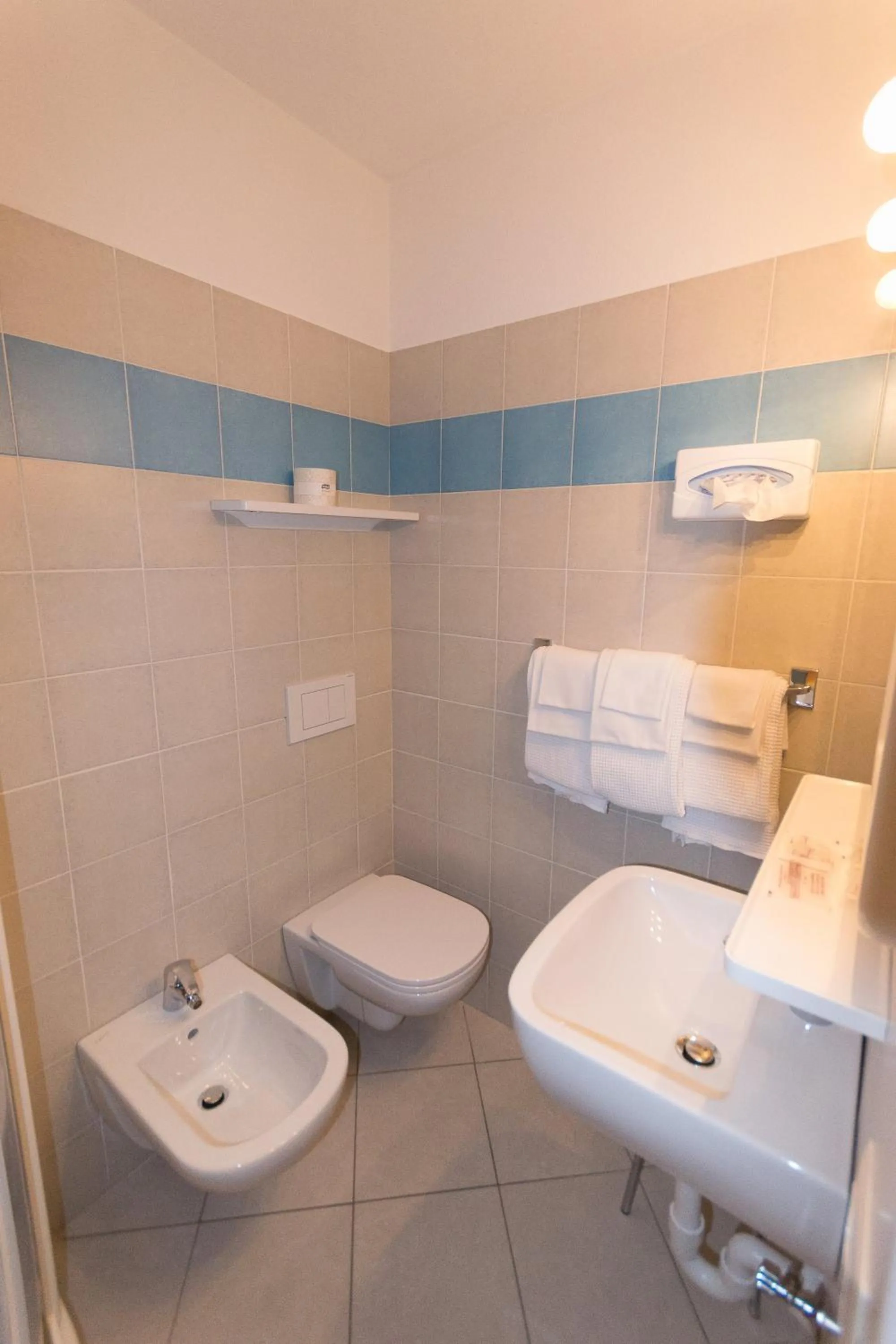 Toilet in Meublé Albergo Dante