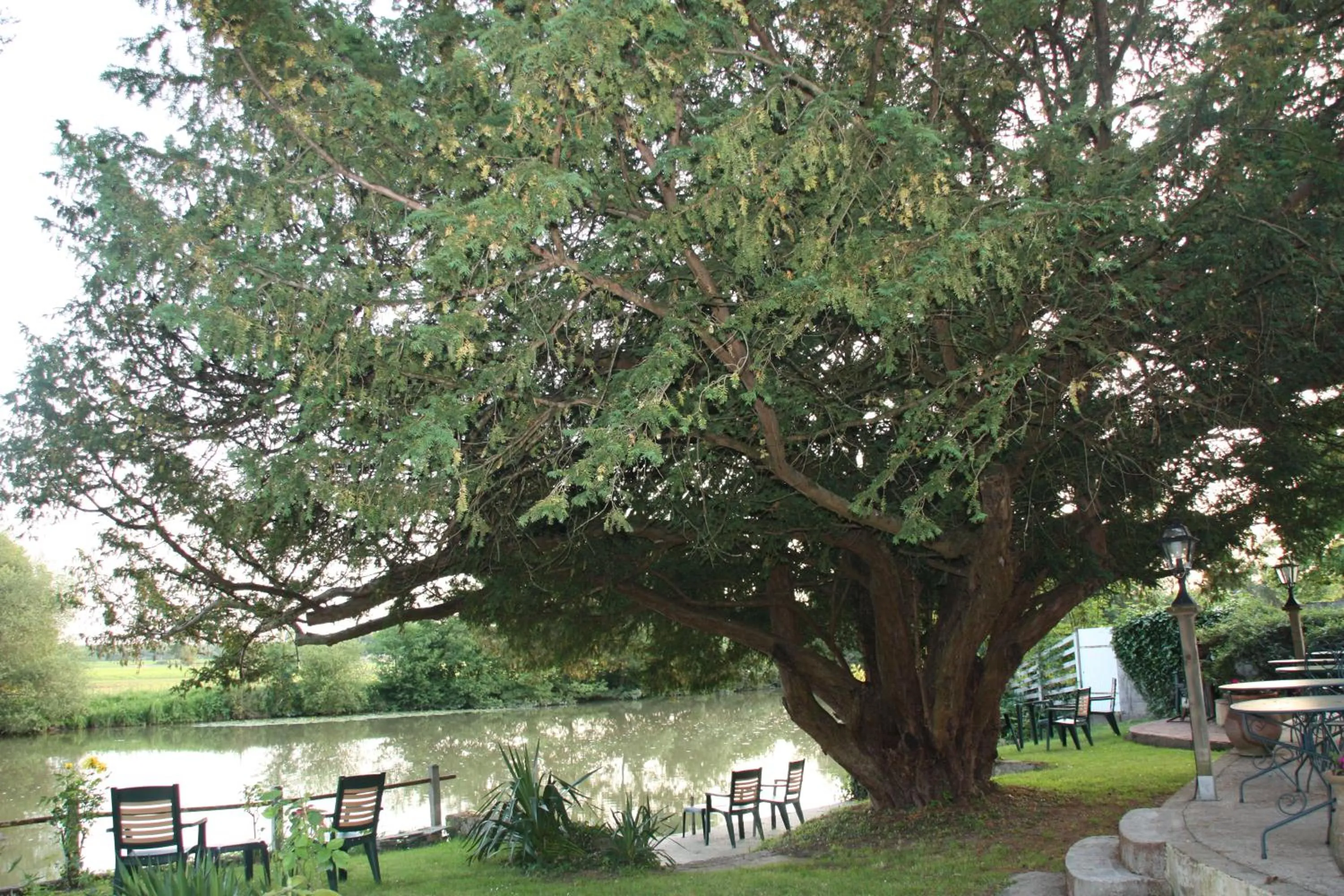 Garden in L'Auberge du Port des Roches