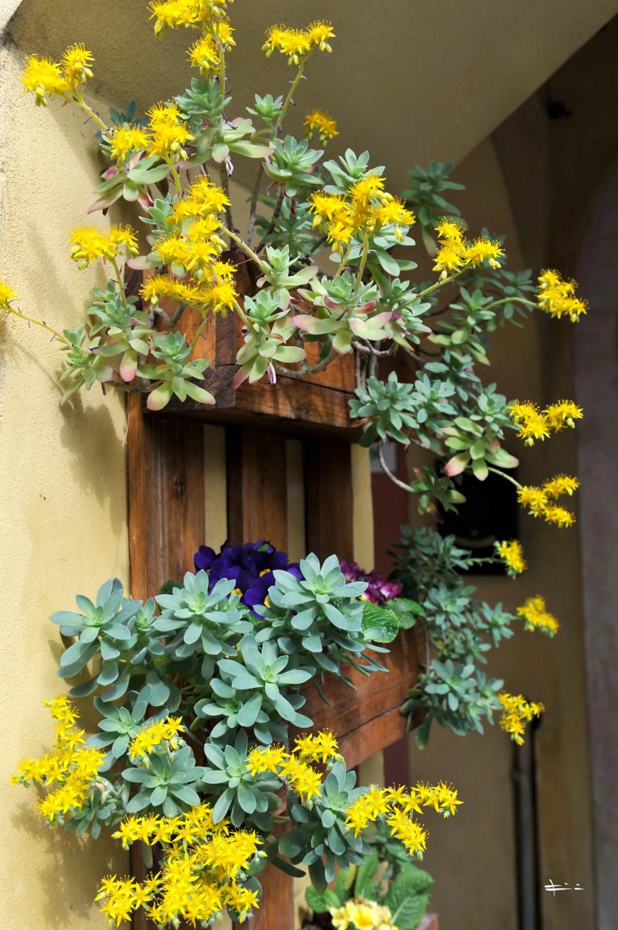 Other in B&B Vicenza San Rocco