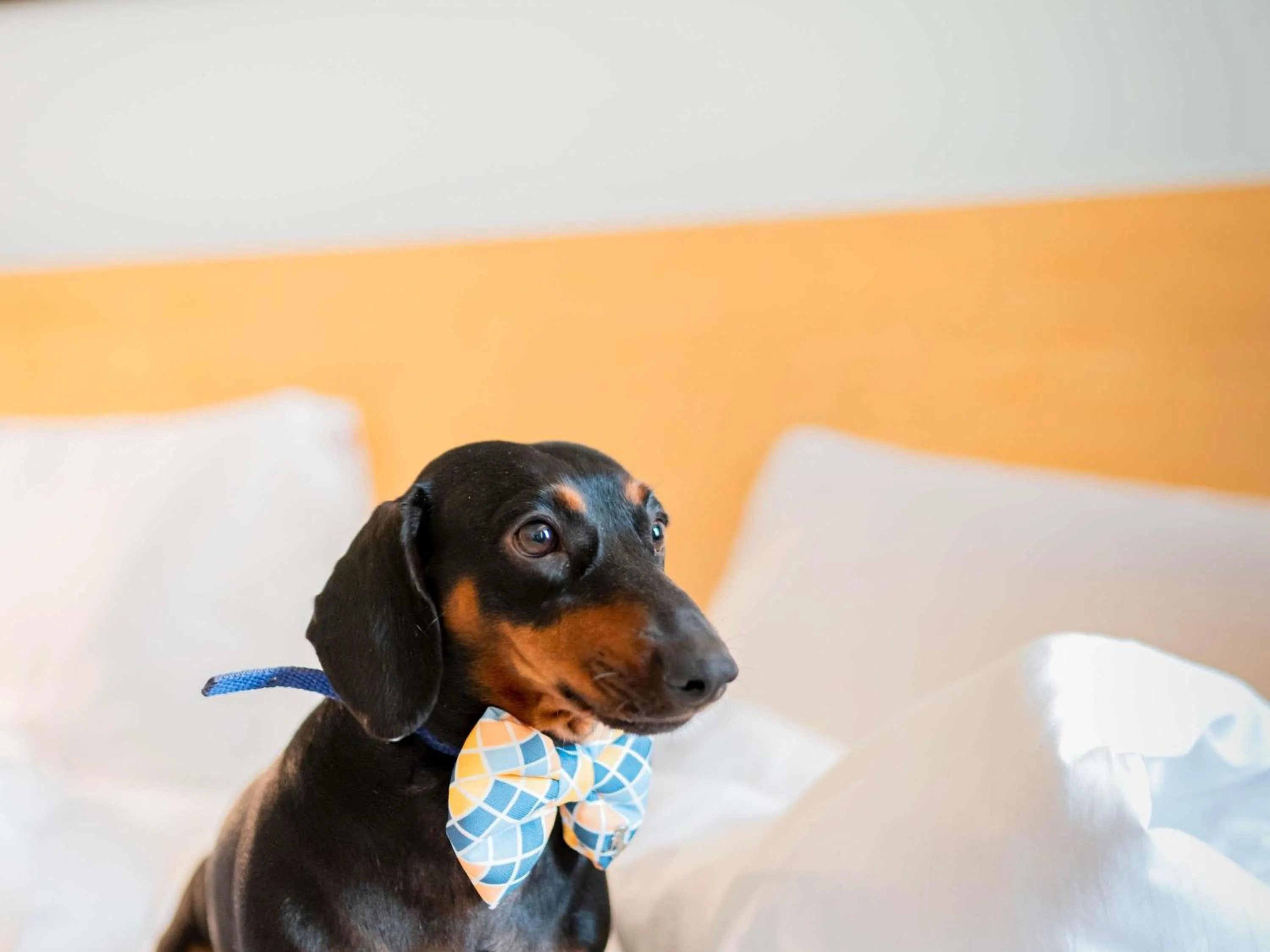 Other, Bed in ibis Heilbronn City