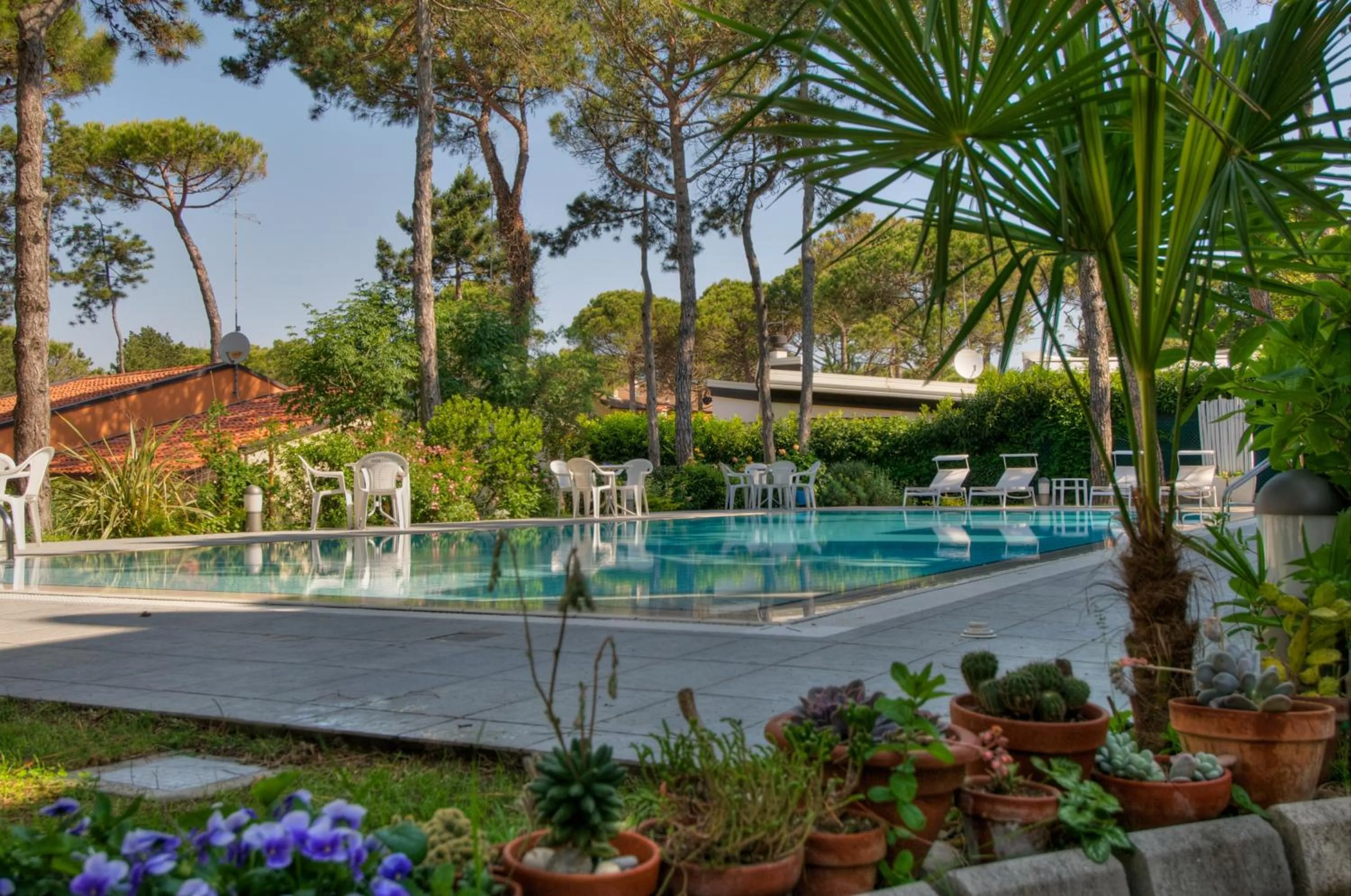 Swimming pool in Hotel Caracas