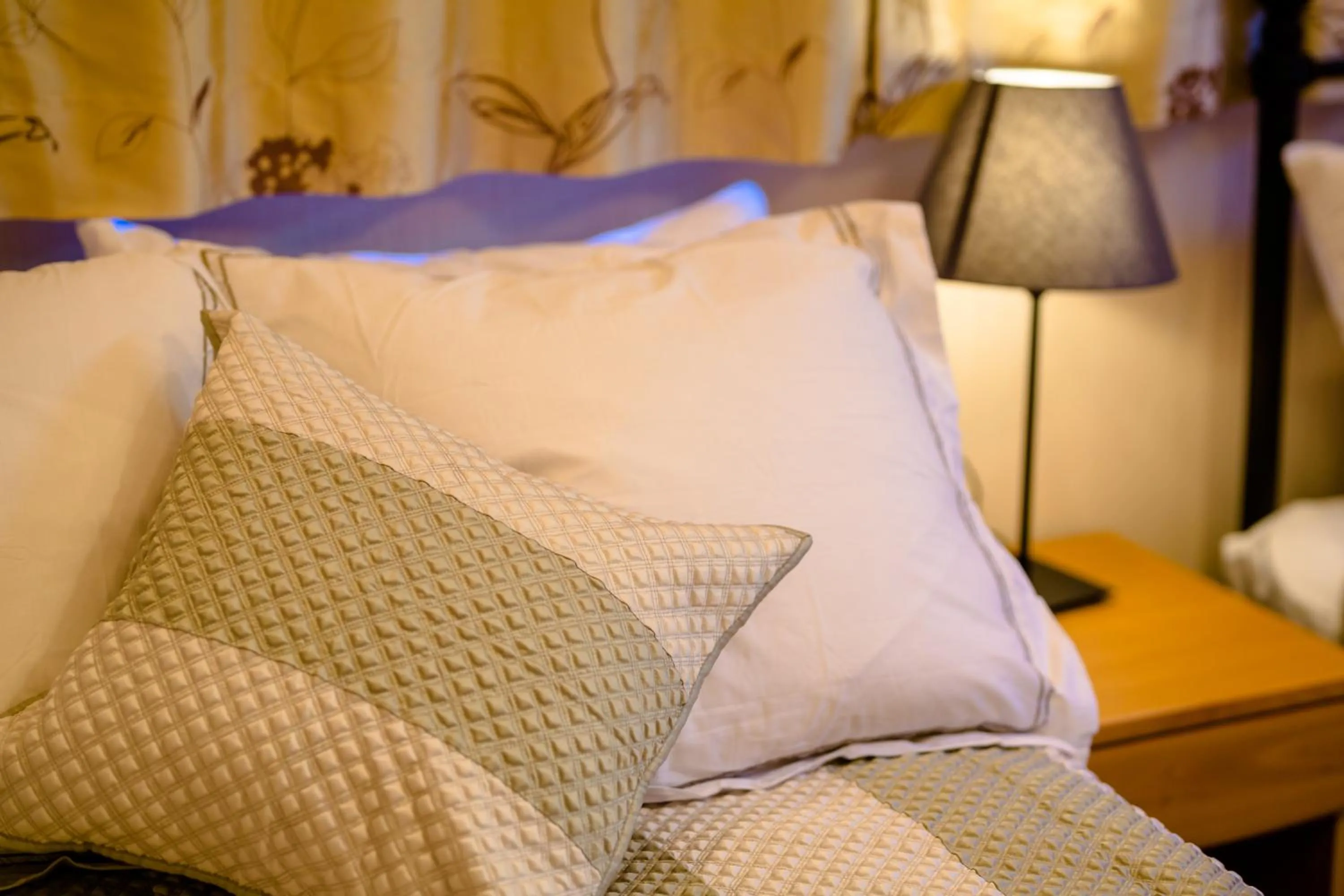 Bed in tocoro. Mt. Fuji Mutsuki