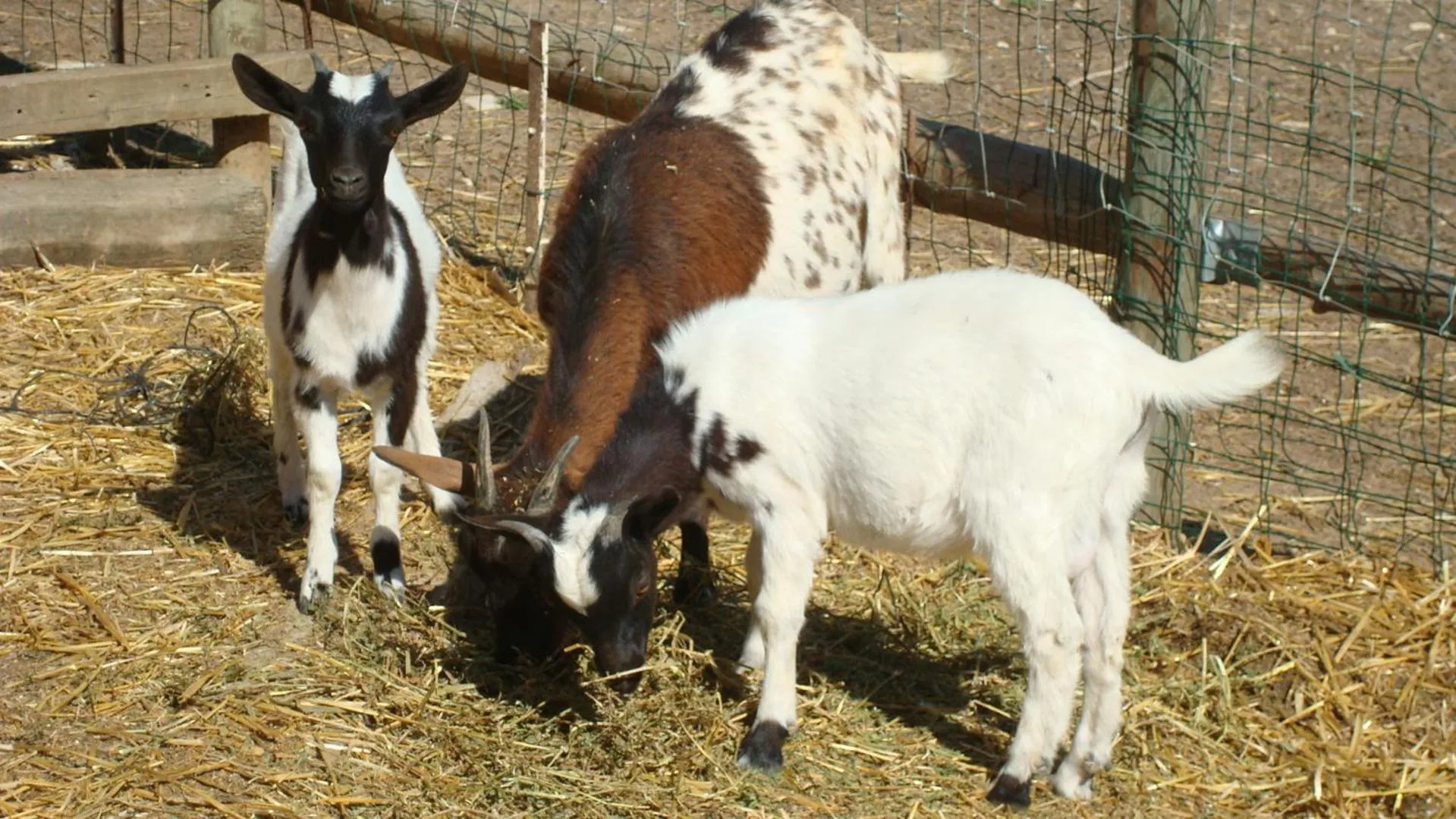 Comarquinal Bioresort Penedes