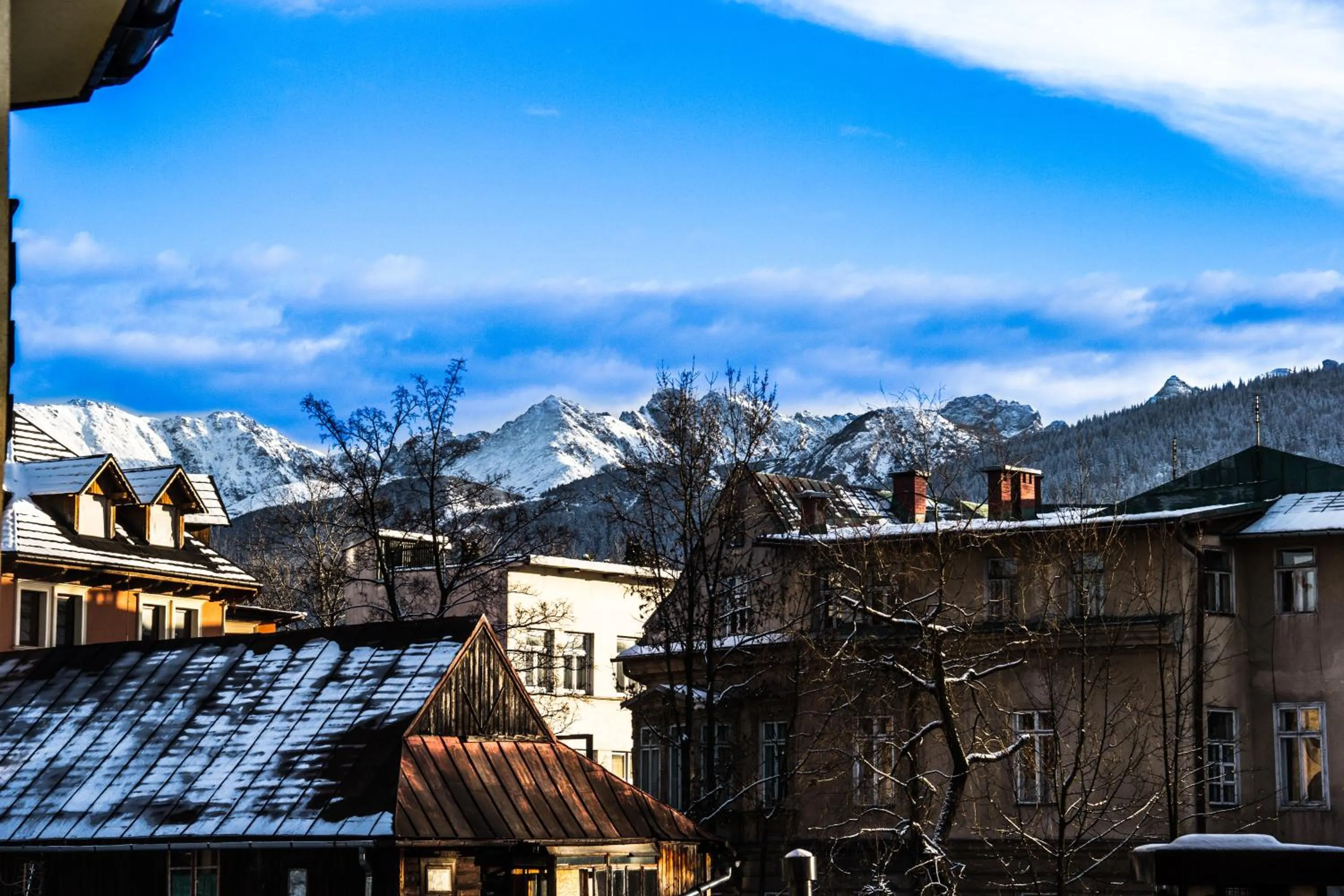 View (from property/room) in Top Hostel Pokoje Gościnne